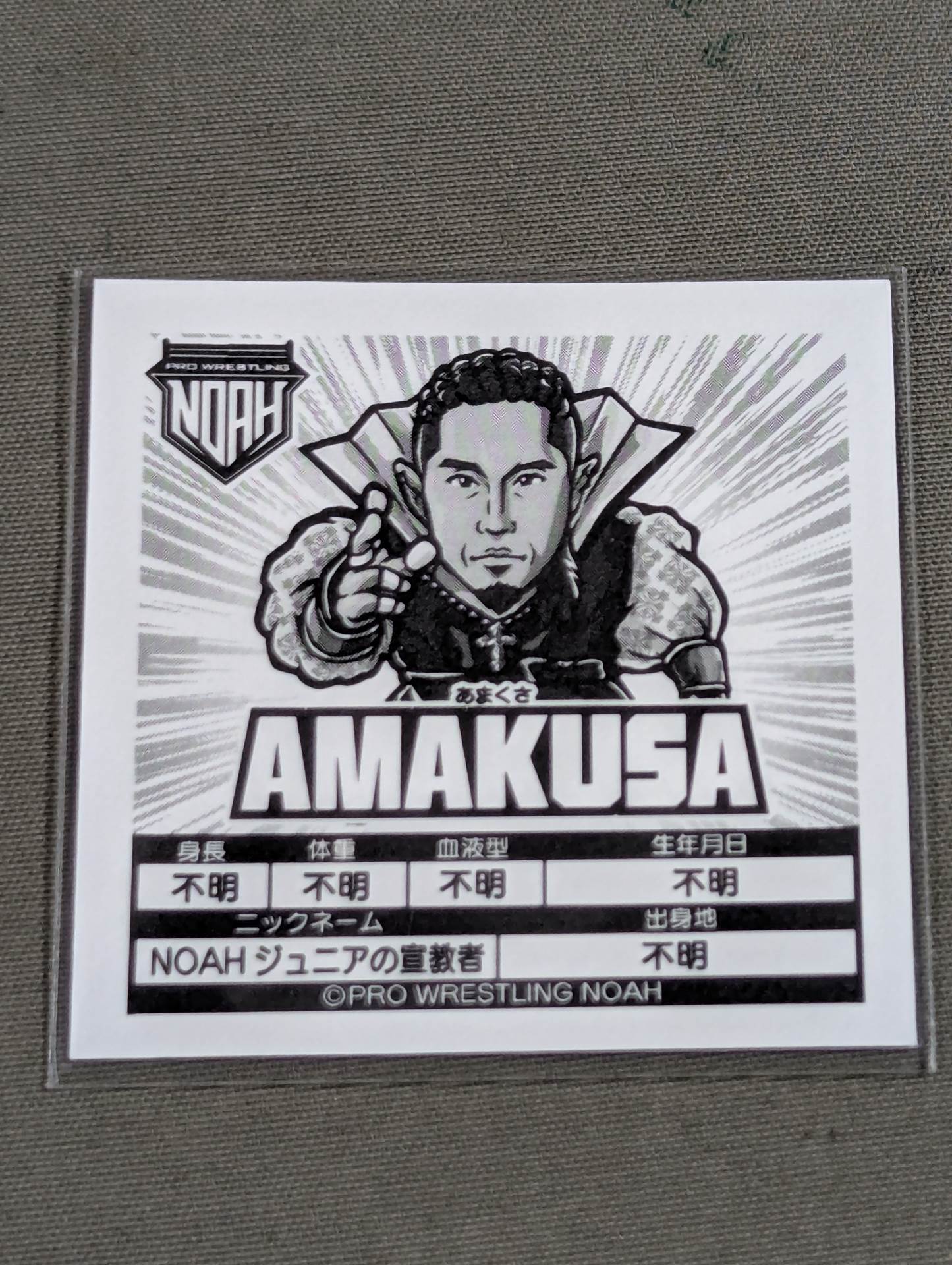 AMAKUSA NOAH Prism Sticker Collection