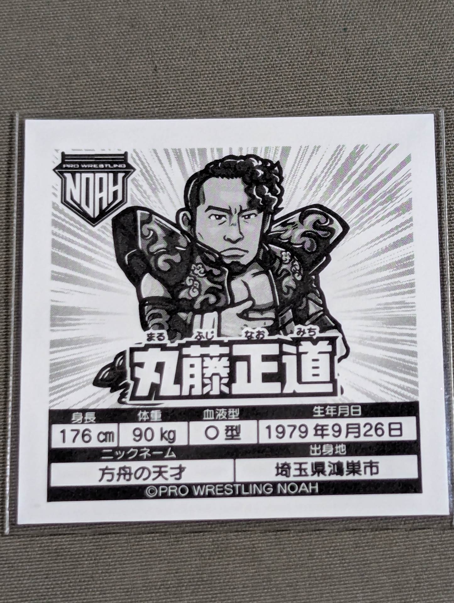 Naomichi Marufuji NOAH Prism Sticker Collection