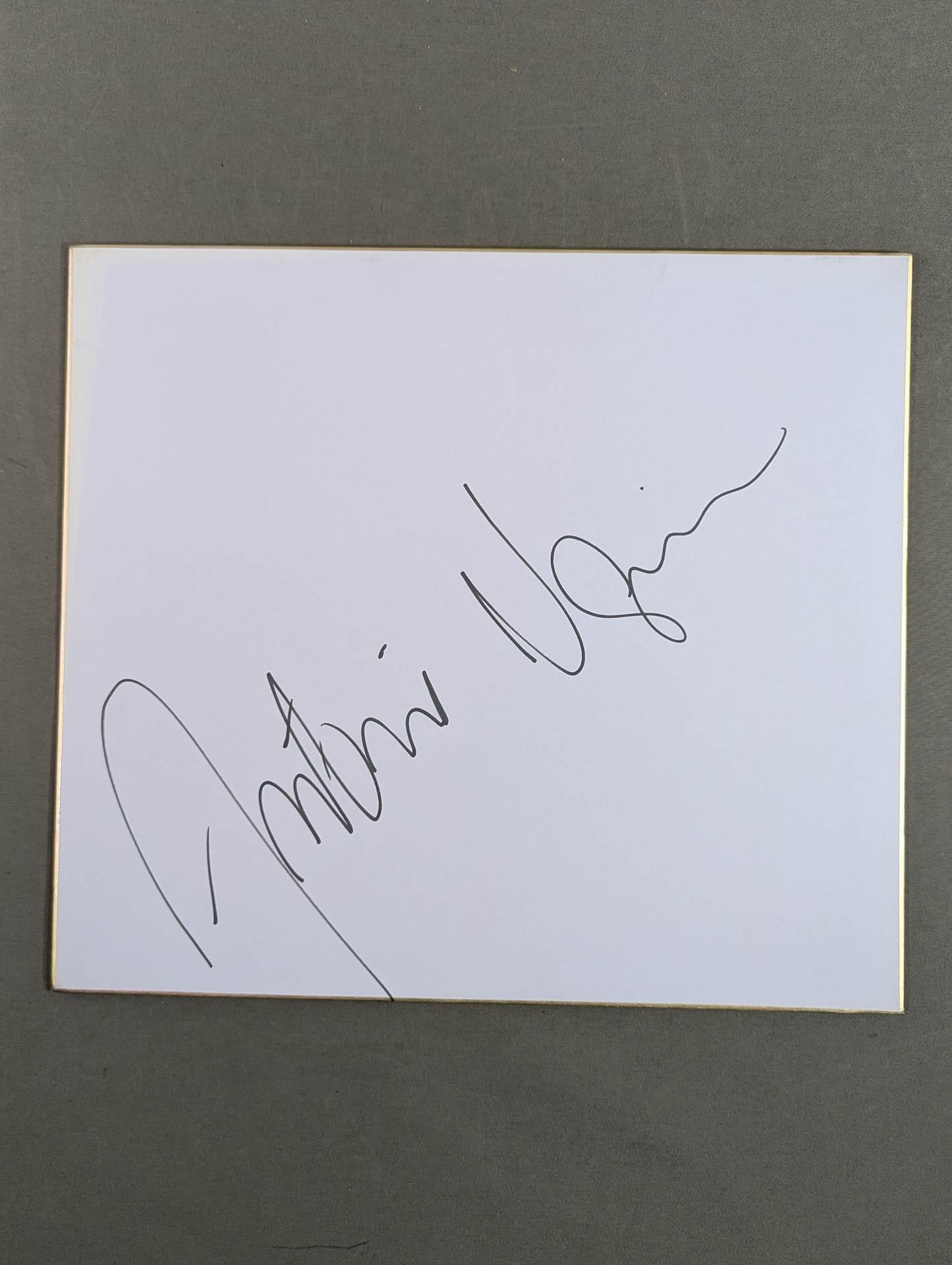 アントニオ・ホドリゴ・ノゲイラ – 闘道館