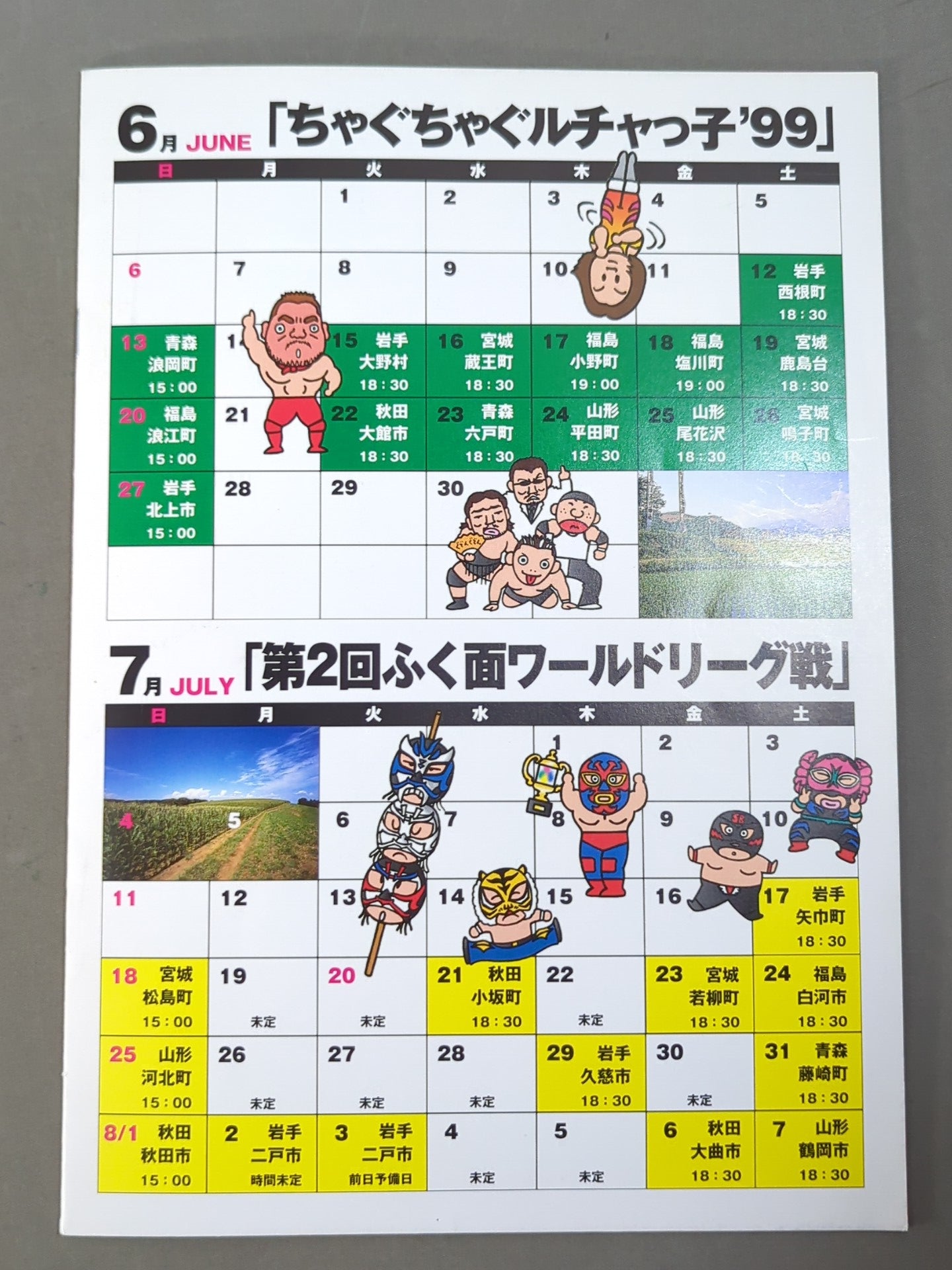 【ticket stub 】Michinoku Pro Wrestling Official Pamphlet Vol.49