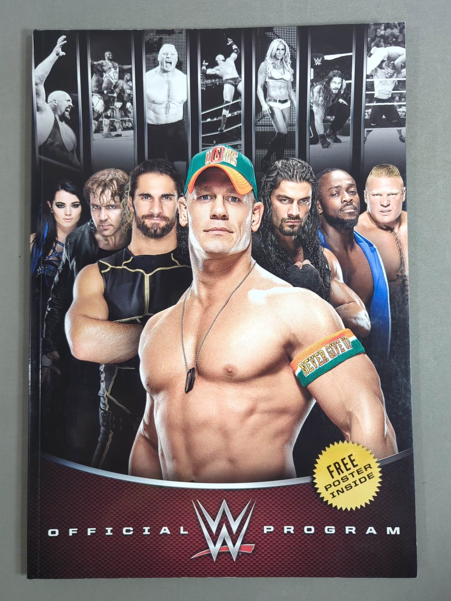 WWE OFFICIAL PROGRAM 2015(A) – 闘道館