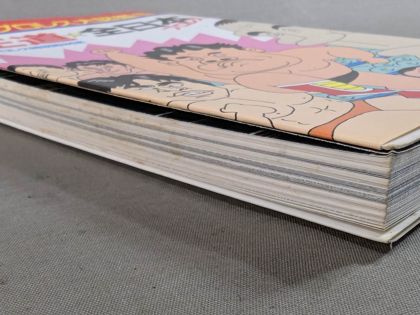 The latest Pro Wrestling Encyclopedia (5) Royal Road ☆ All Japan Pro Wrestling