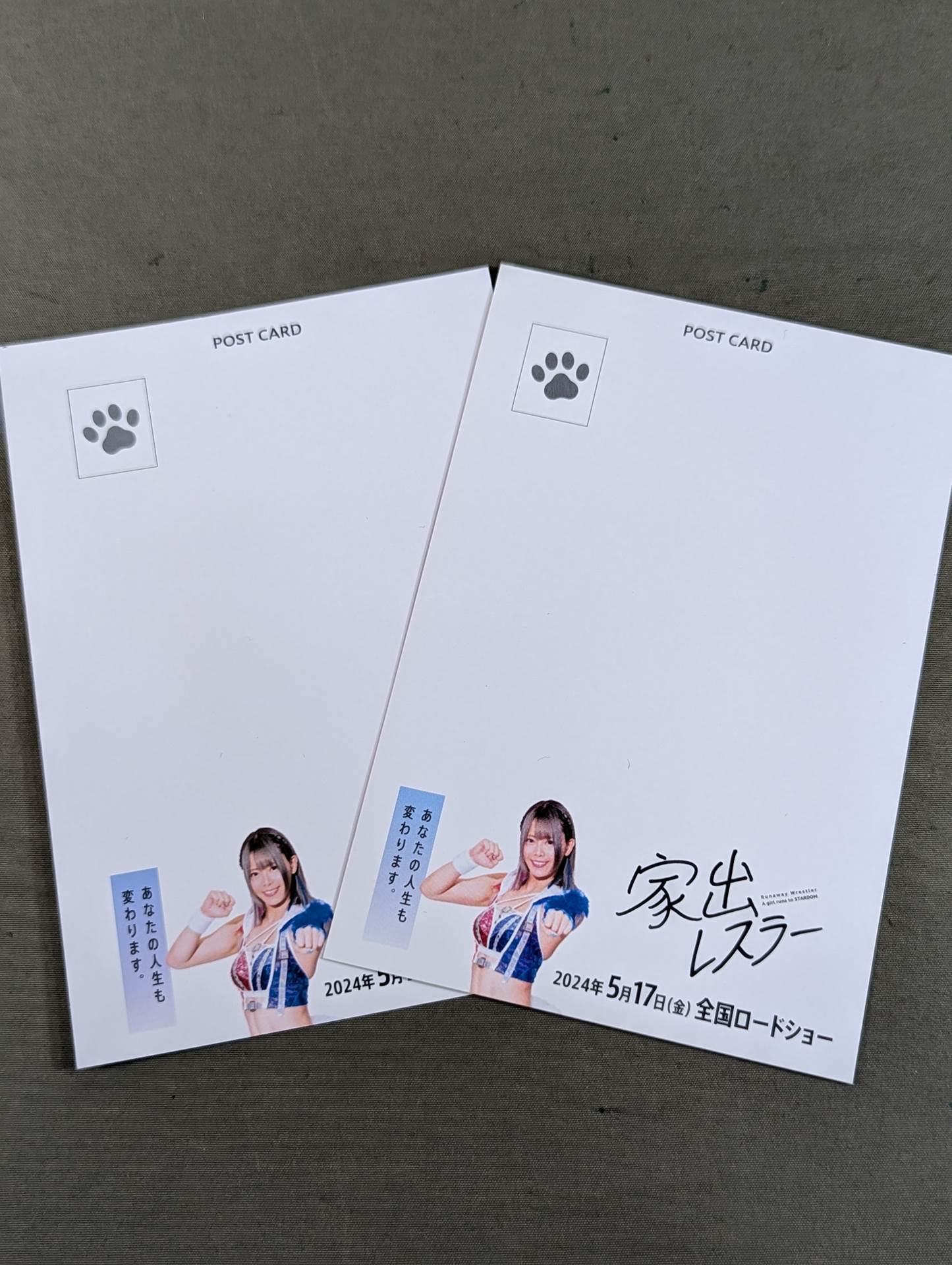 Runaway Wrestler Postcard Set(2)