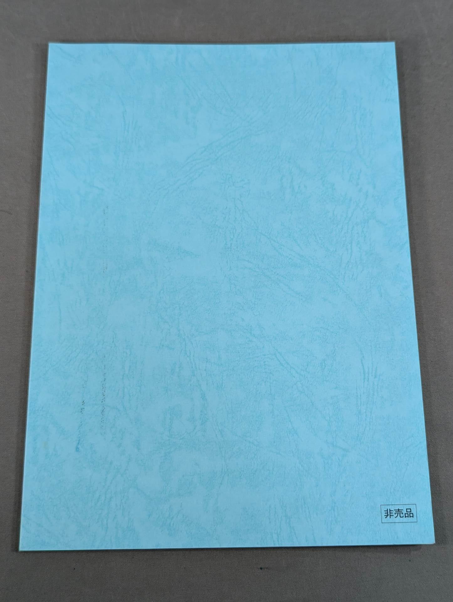 Runaway Wrestler Script Notebook (1)