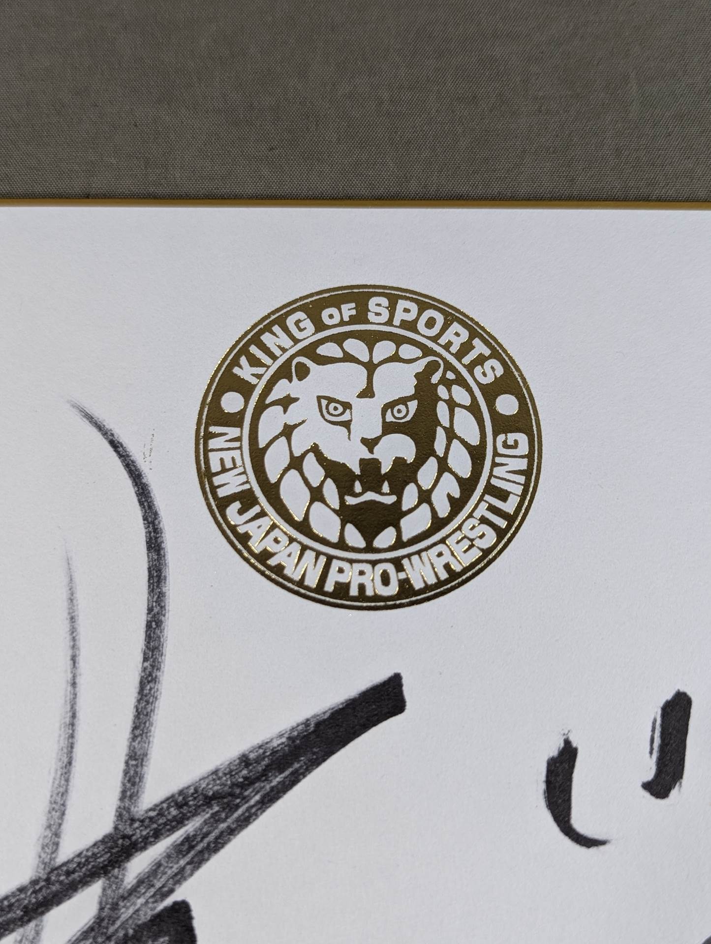 ★ Tenkoji ★ Hiroyoshi Tenzan & Satoshi Kojima (Lion Mark Shikishi ( Autograph board ) )