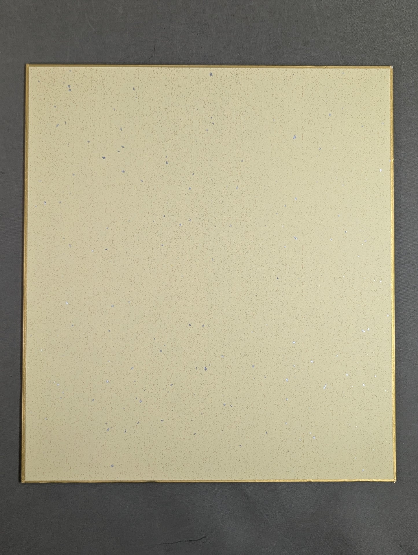 ★ Stardom flag 5th anniversary 11 ★ fighters post (photo attached)