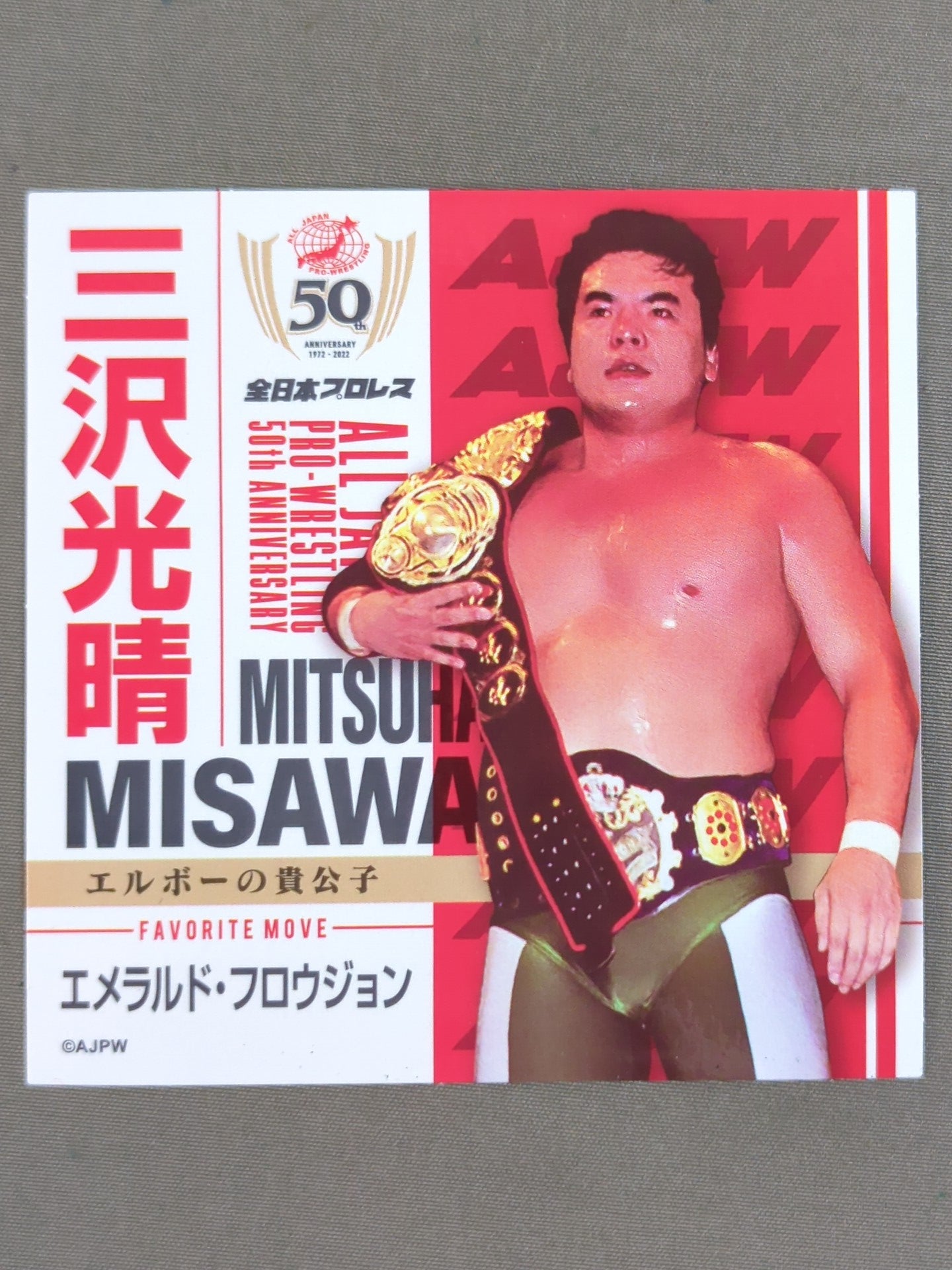 三沢光晴 全日本プロレス50周年 クリアファイル&ステッカーセット