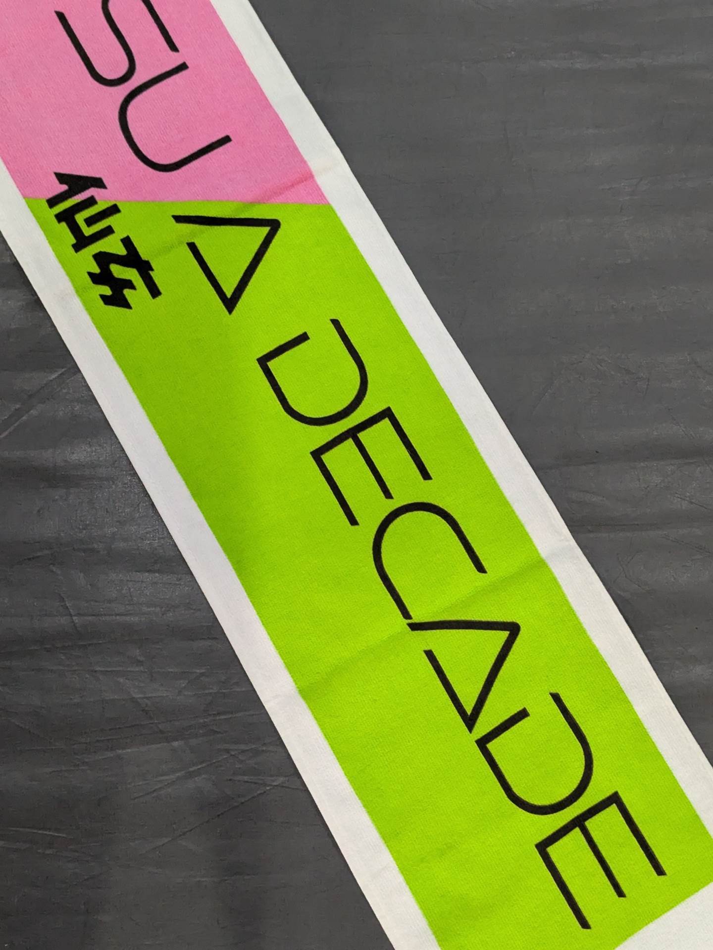 ★ ★ not sold in stores Chihiro Hashimoto 10th Anniversary "KAIBUTSU A DECADE" Muffler Towel