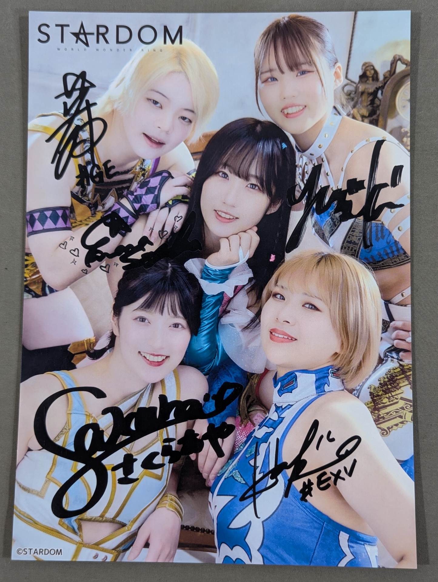 ☆2023年デビュー☆ スターダム ポートレート – 闘道館