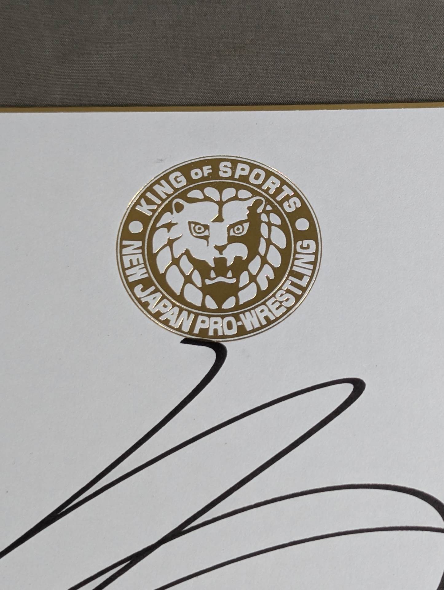 Toru Yano (Lion Mark Shikishi ( Autograph board ) )