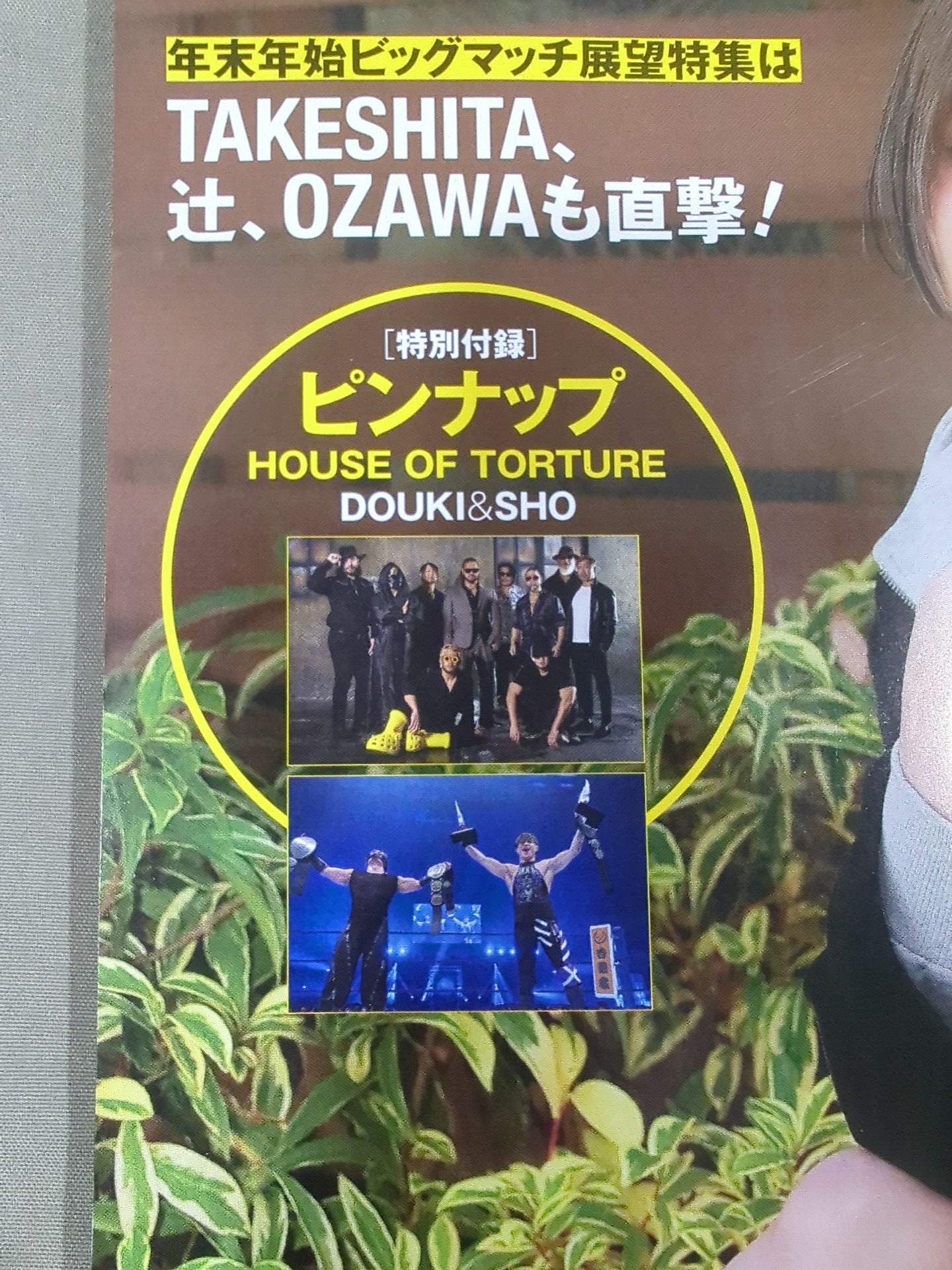 Weekly Pro Wrestling 2390