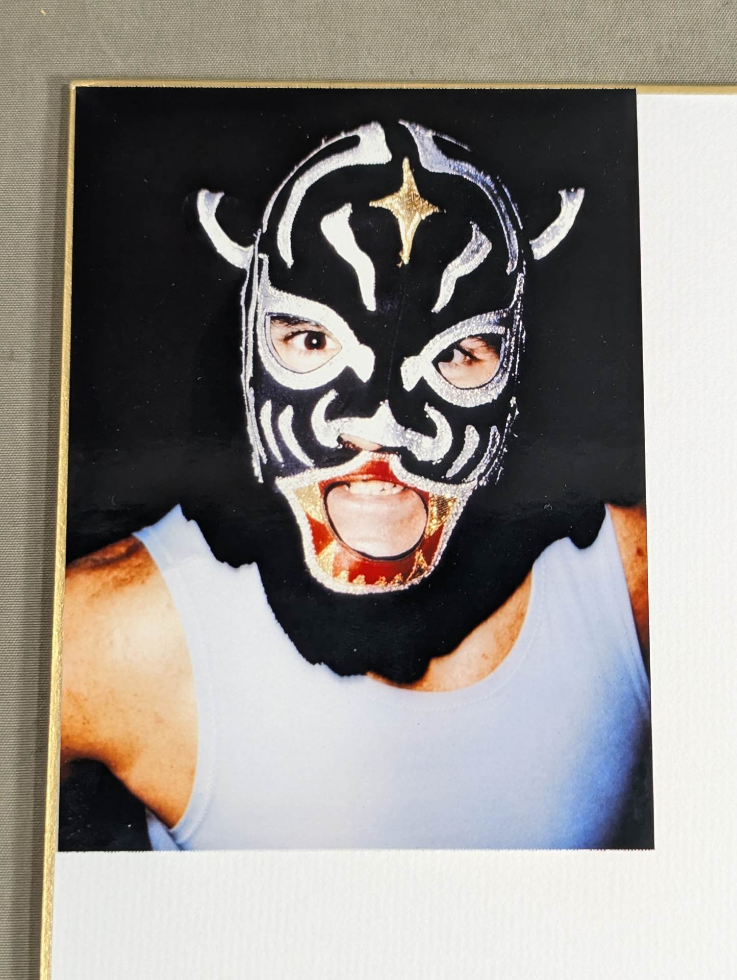 The first generation Black Tiger (photo attached)