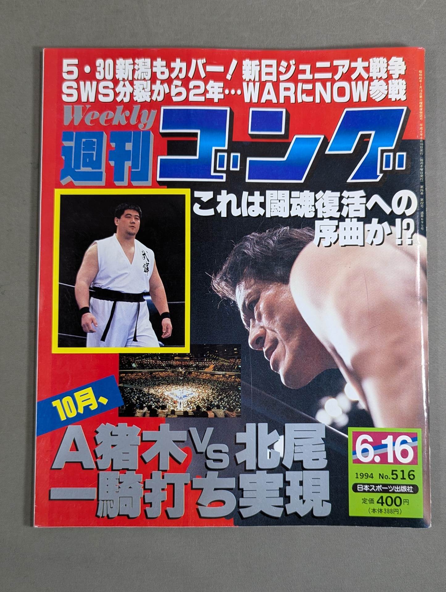 週刊ゴング516 – 闘道館