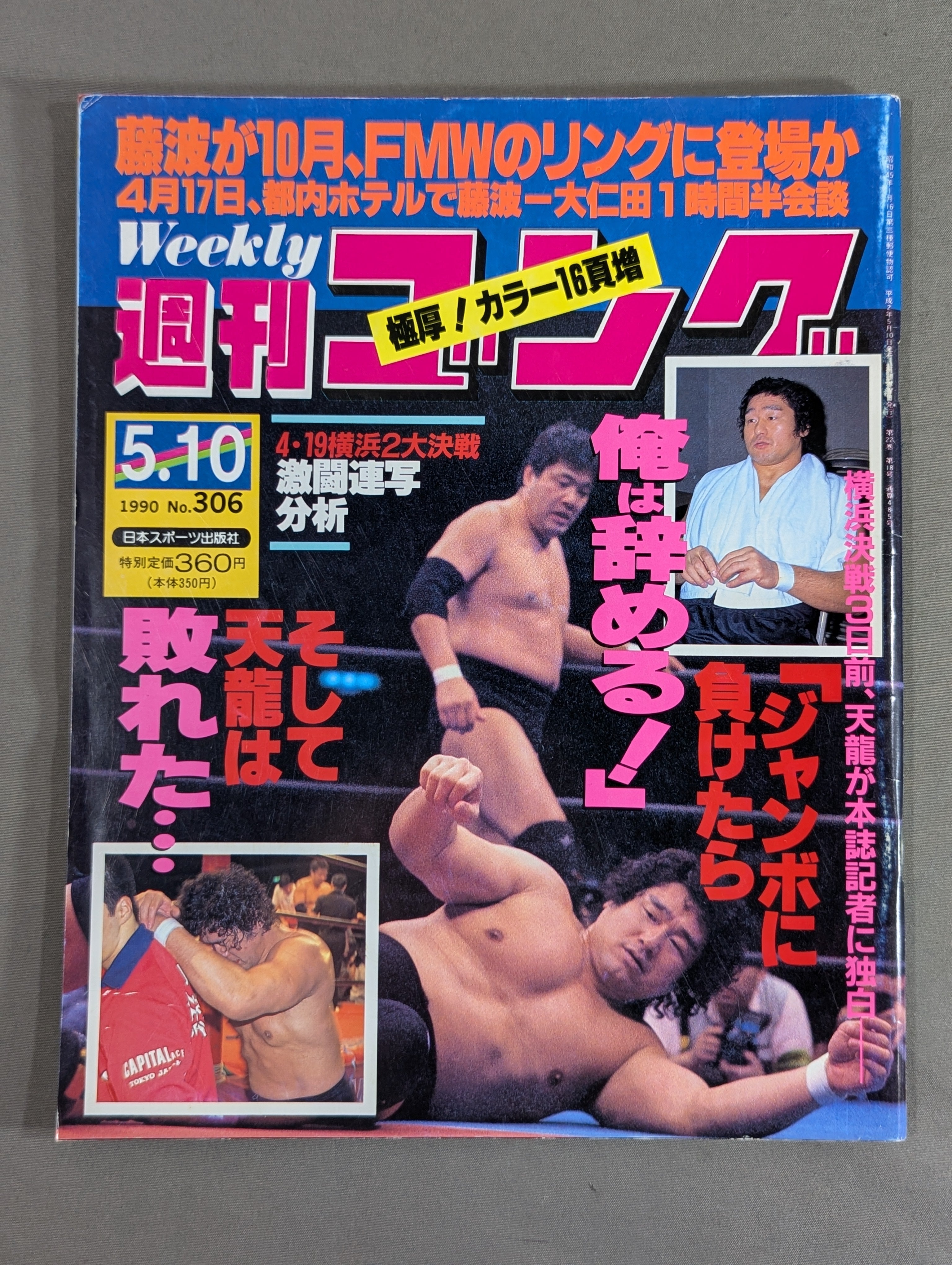 週刊ゴング306 – 闘道館