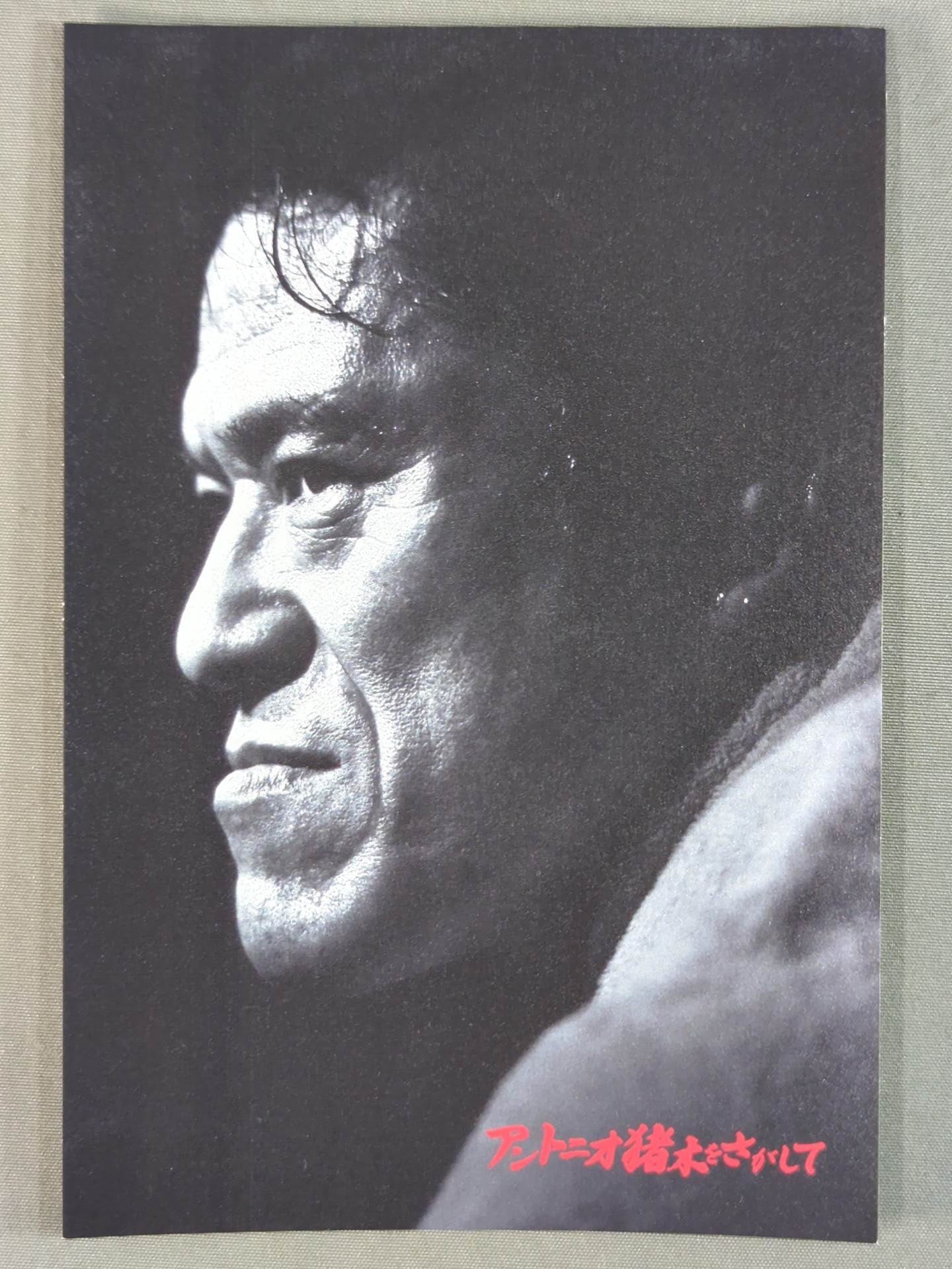 Finding Antonio Inoki Postcard Set
