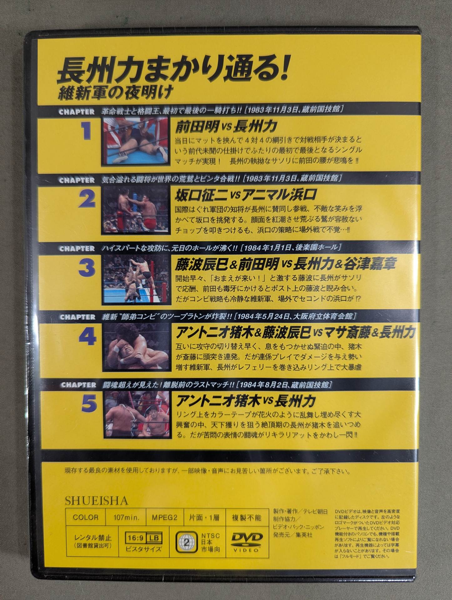 Burn! New Japan Pro Wrestling vol.13