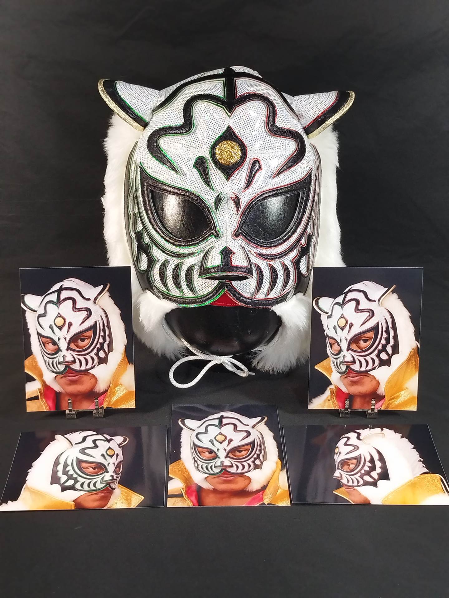 4代目タイガーマスク – 闘道館