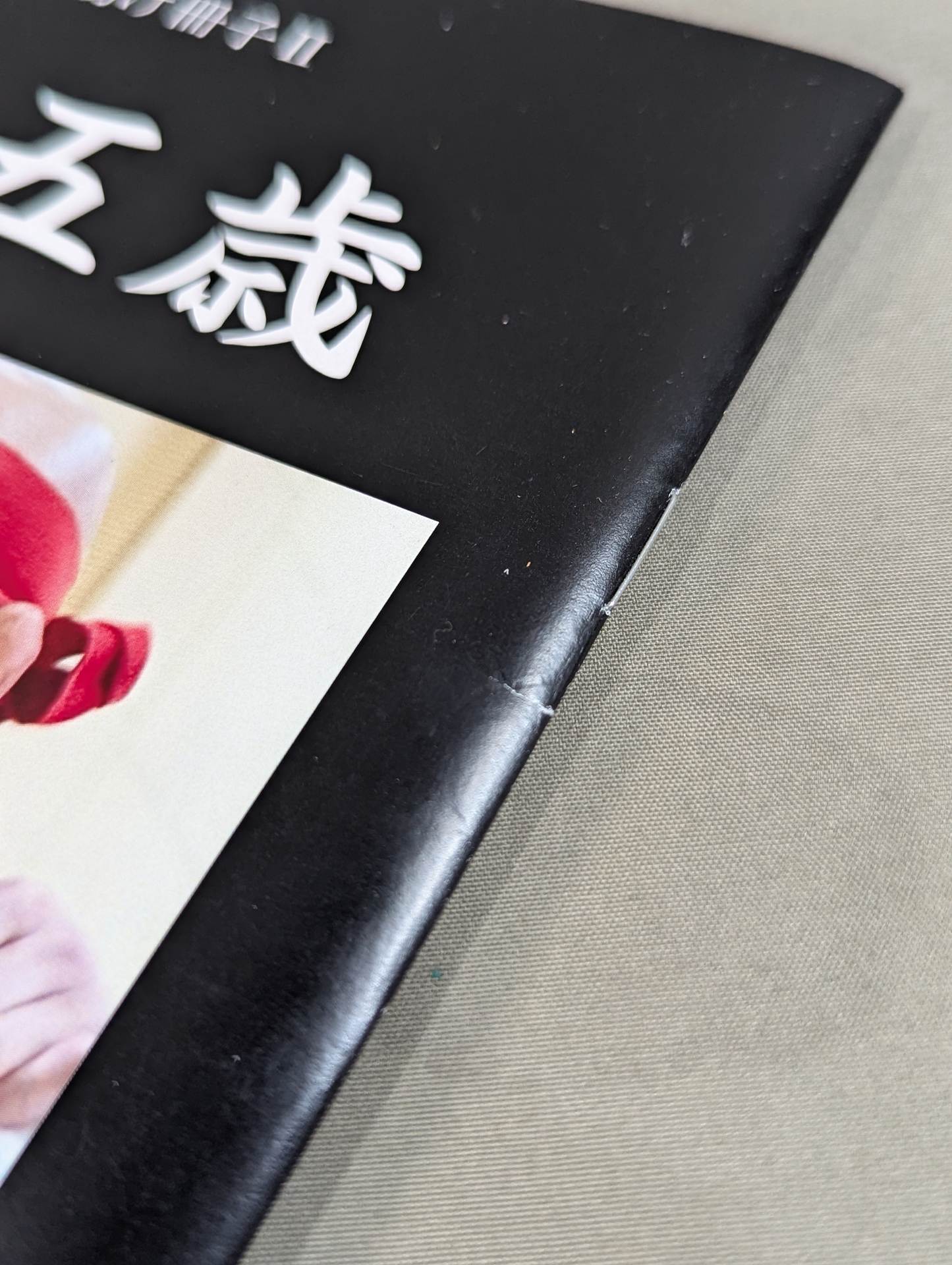 【ザ・グレート・サスケ 直筆サイン入り】WJ旗揚げ冊子Ⅱ 五十五歳