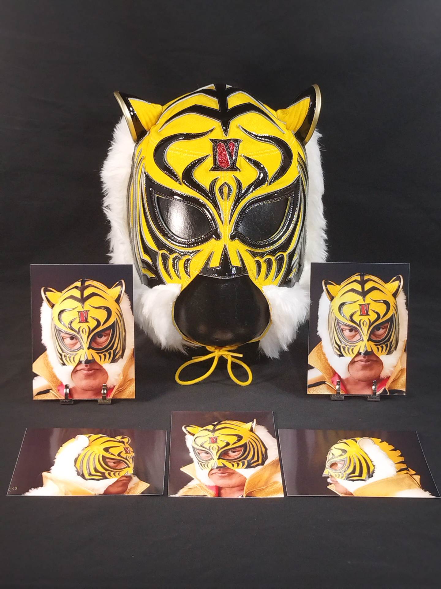 4代目タイガーマスク – 闘道館