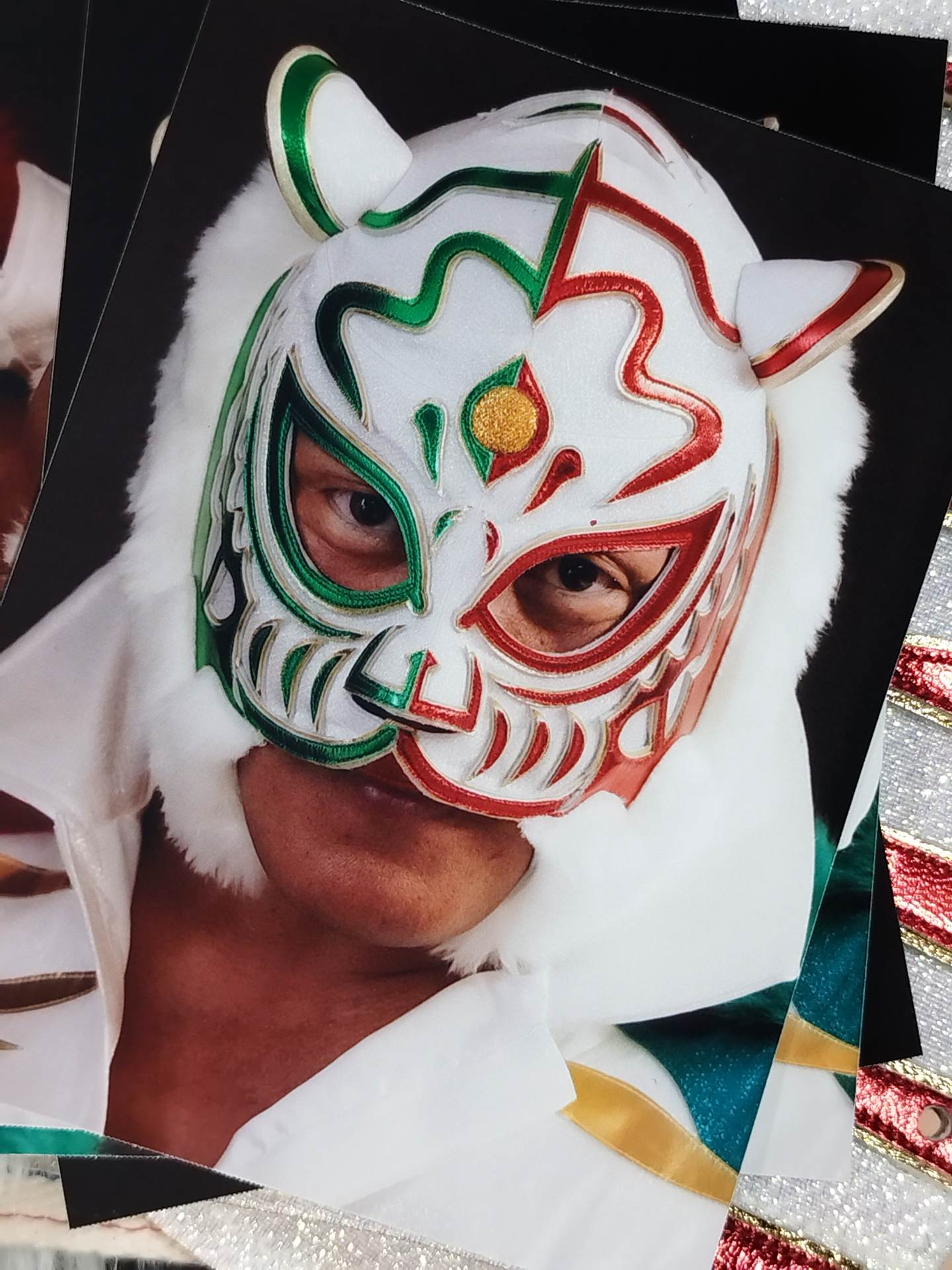 4th Tiger Mask