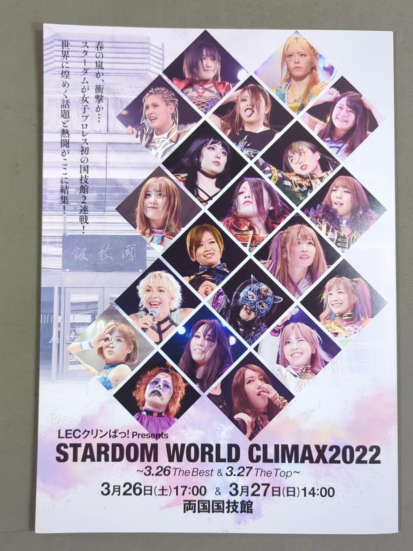 STARDOM OFFICIAL GUIDE BOOK Vol.140