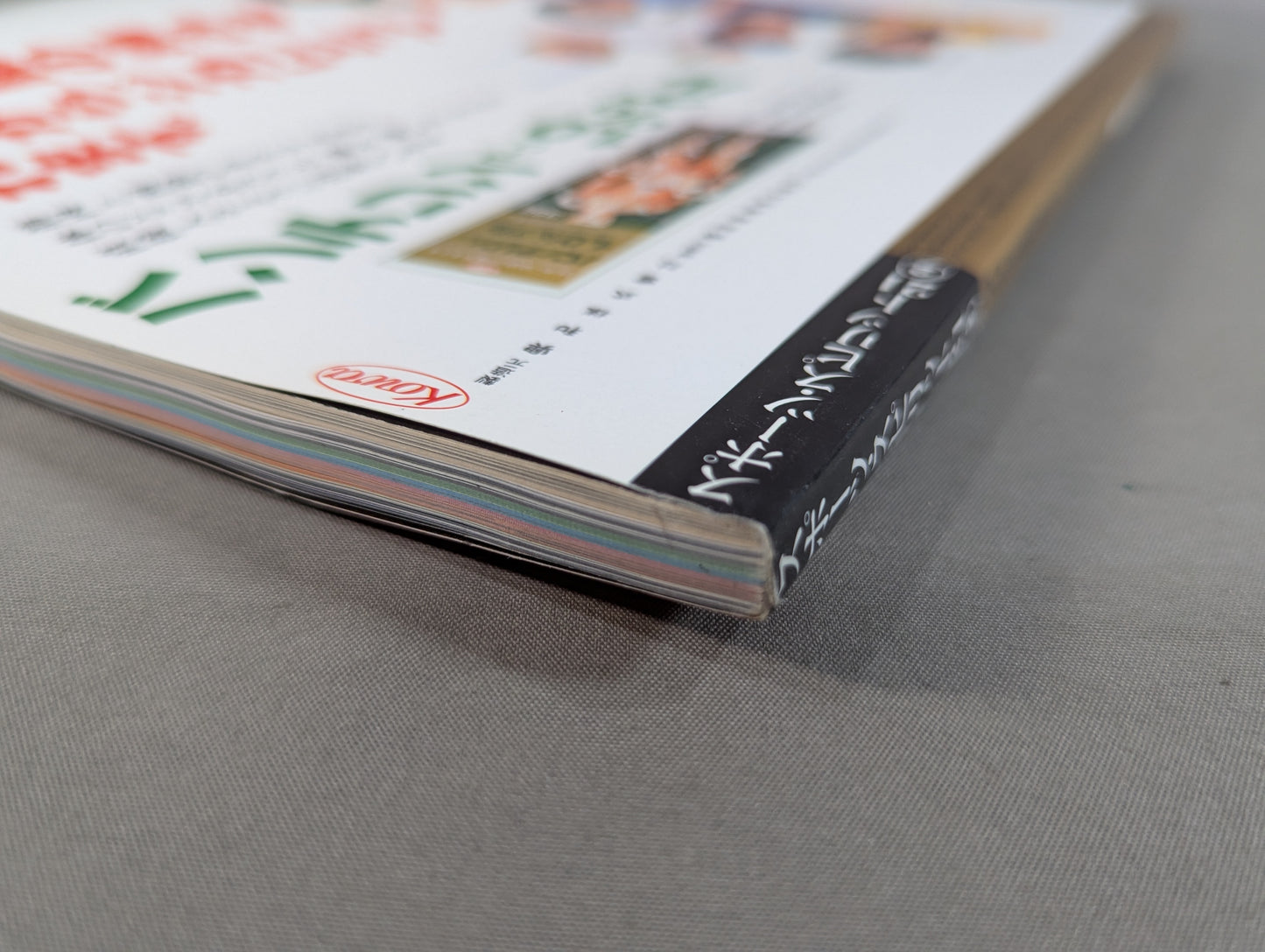 Pro Wrestling Special Moves 2001 Best Selection