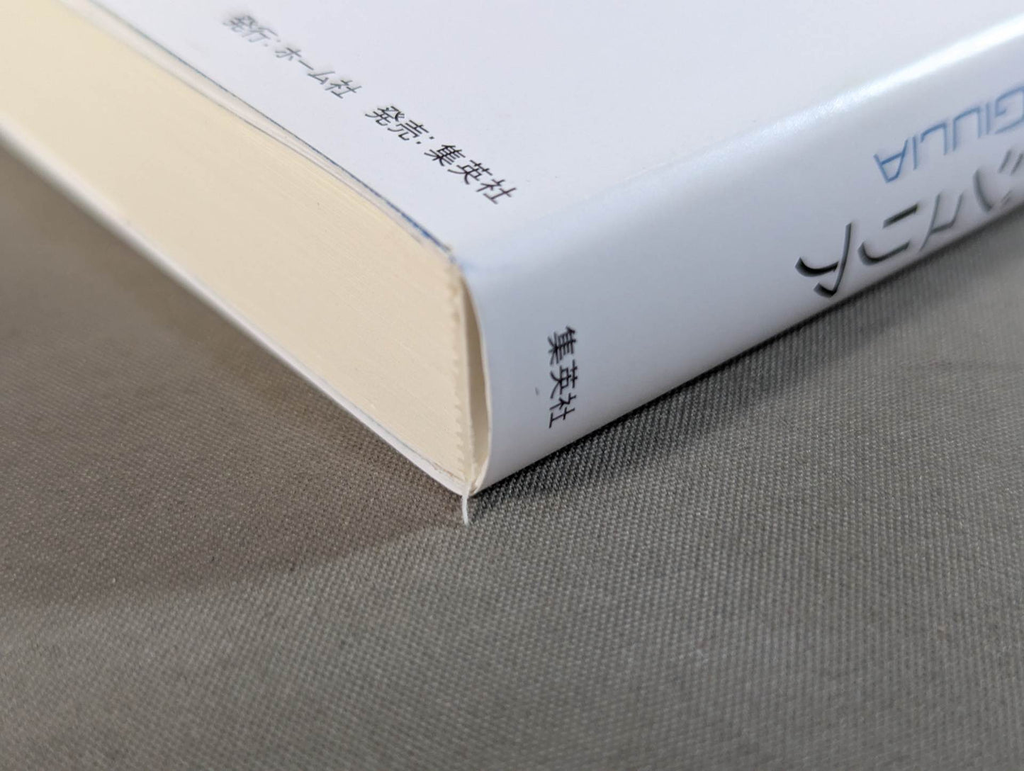 My Dream Giulia Autobiography