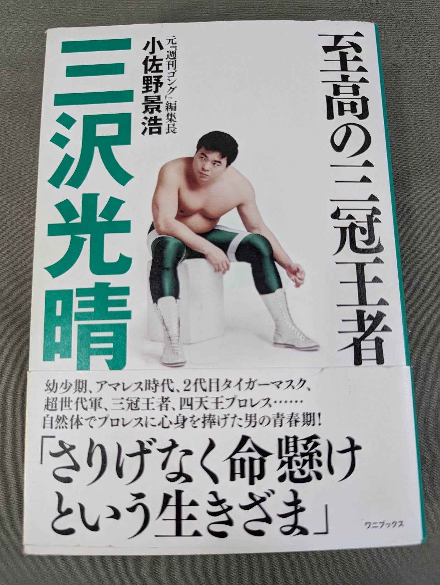 至高の三冠王者 三沢光晴 – 闘道館