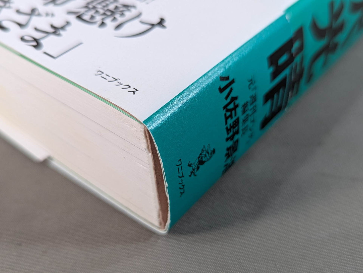 至高の三冠王者 三沢光晴