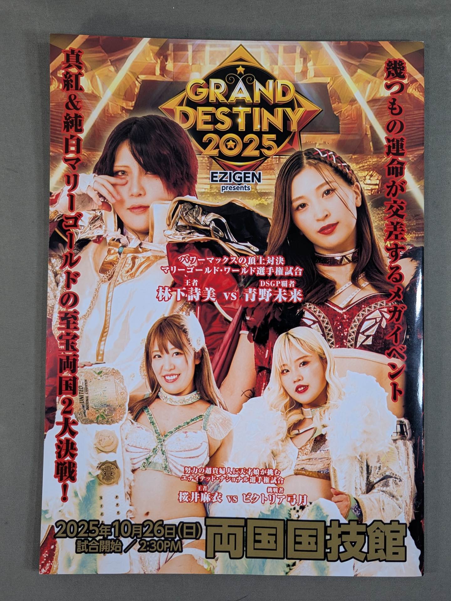 MARIGOLD GUIDE BOOK Vol.14