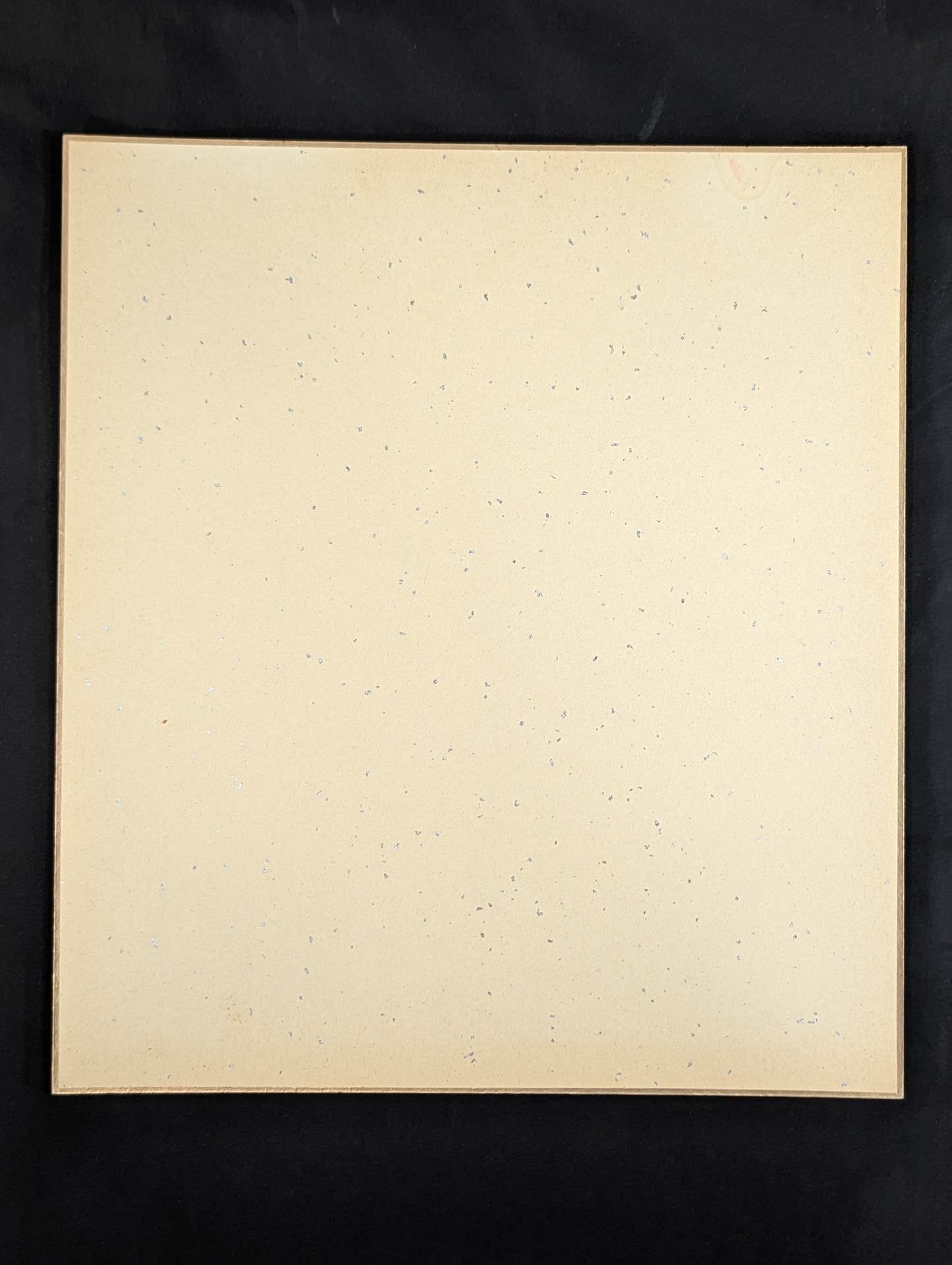 ★ British Bulldogs ★ Dynamite Kid & Davey Boy Smith (89) Real World Tag League Shikishi ( Autograph board ) )