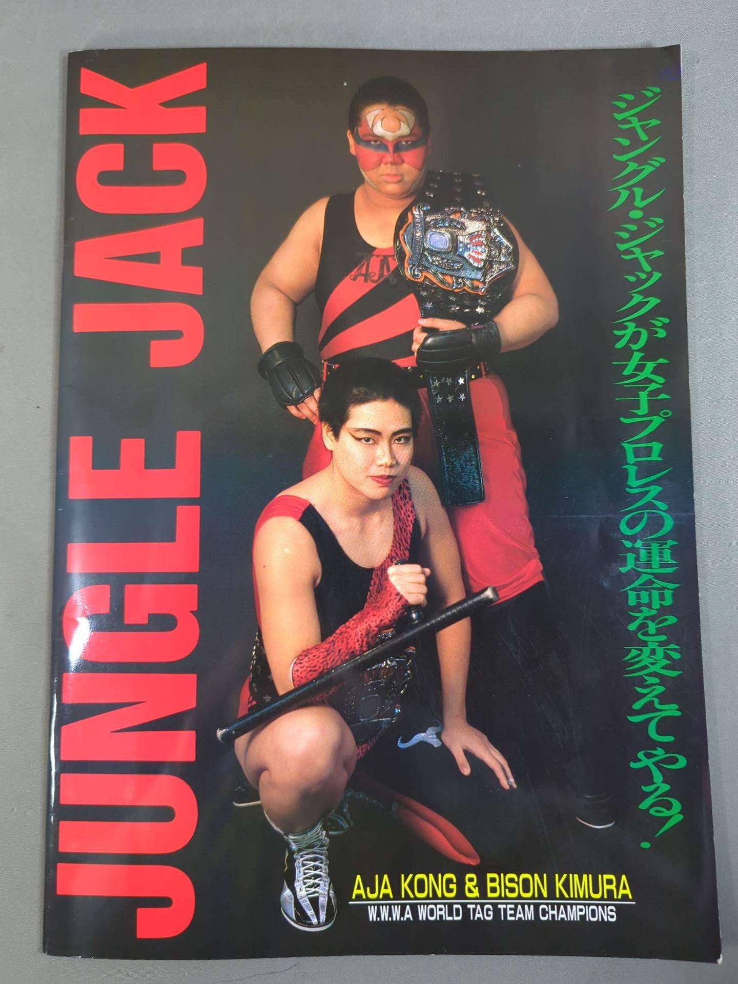 Ringstar PROGRAM 1991 Vol.9