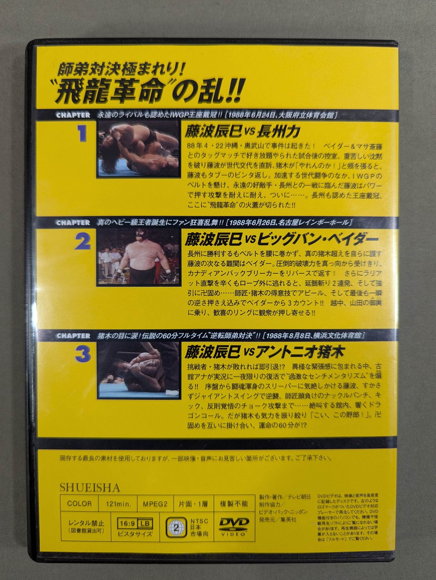燃えろ!新日本プロレス vol.36
