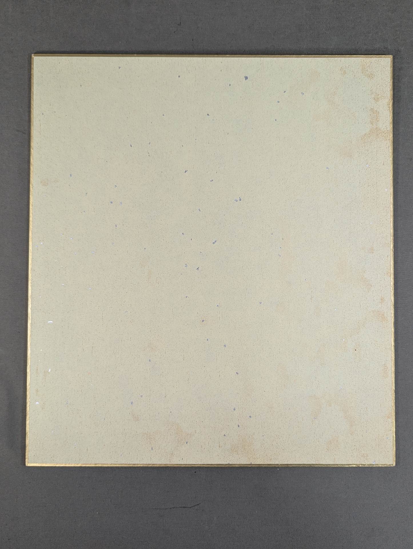 ★ Friendship Tag ★ Team Hiroyoshi Tenzan & Takashi Iizuka (Lion Mark Shikishi ( Autograph board ) )