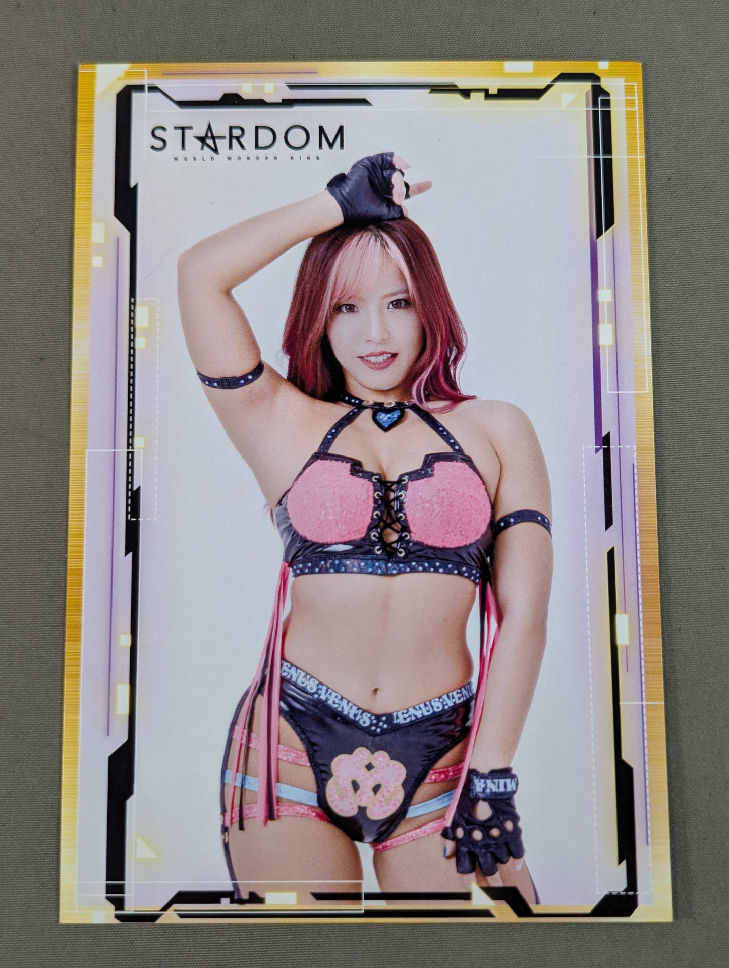 Mina Shirakawa Photo Session Grand Prize Postcard(3)