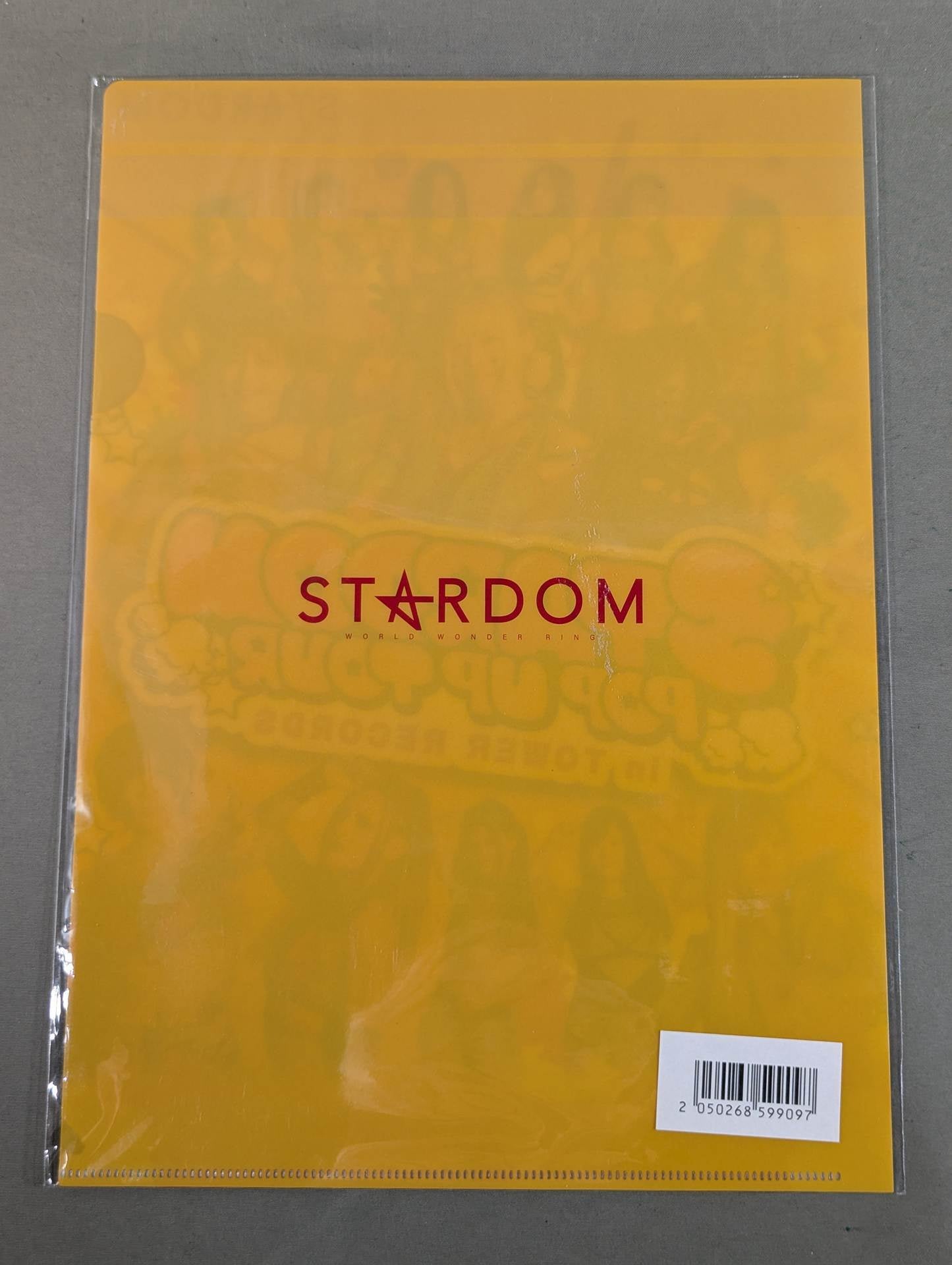 Stardom × TOWER RECORDS plastic file folder 2022