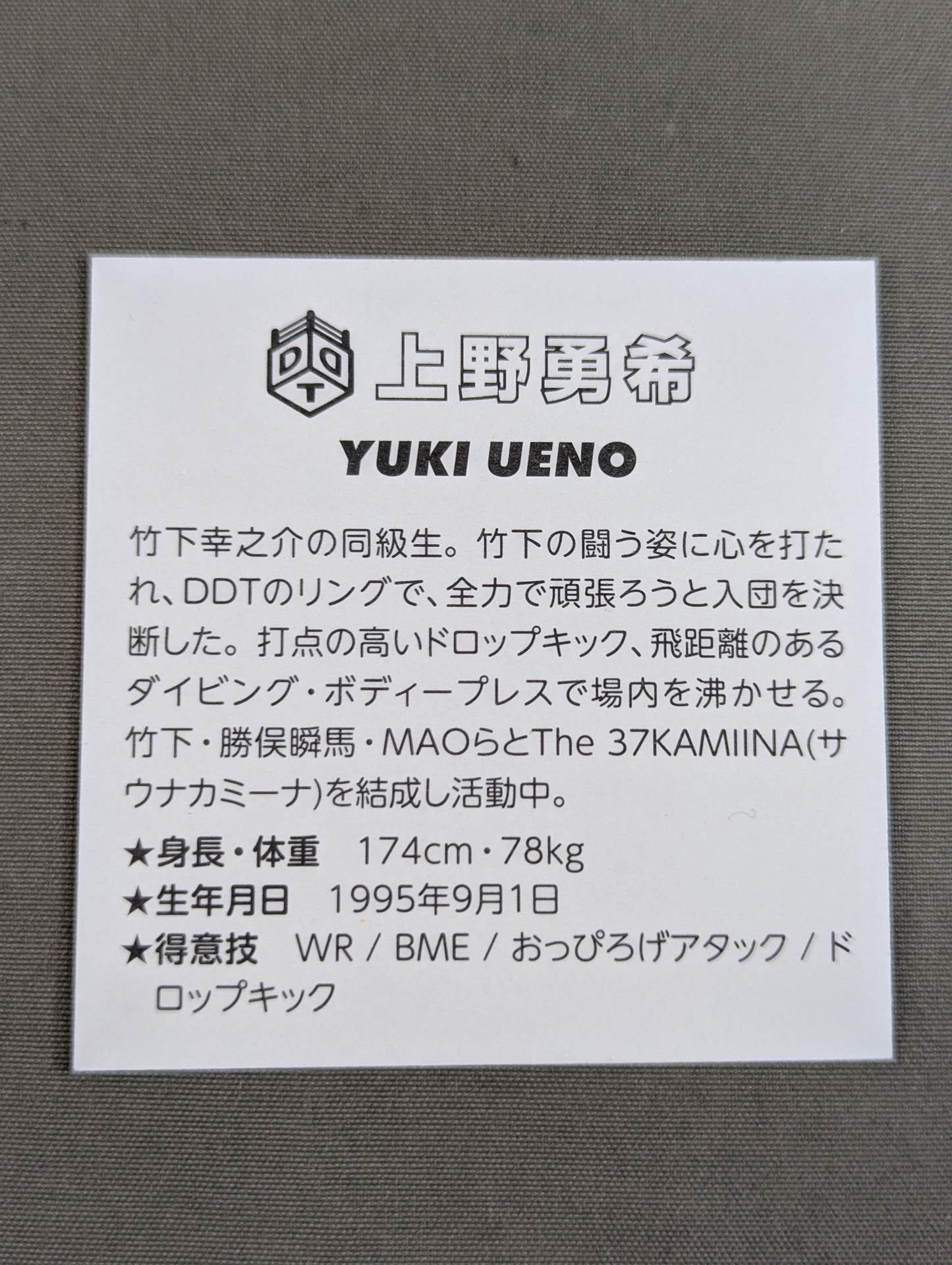 Yuki Ueno Illustration Sticker