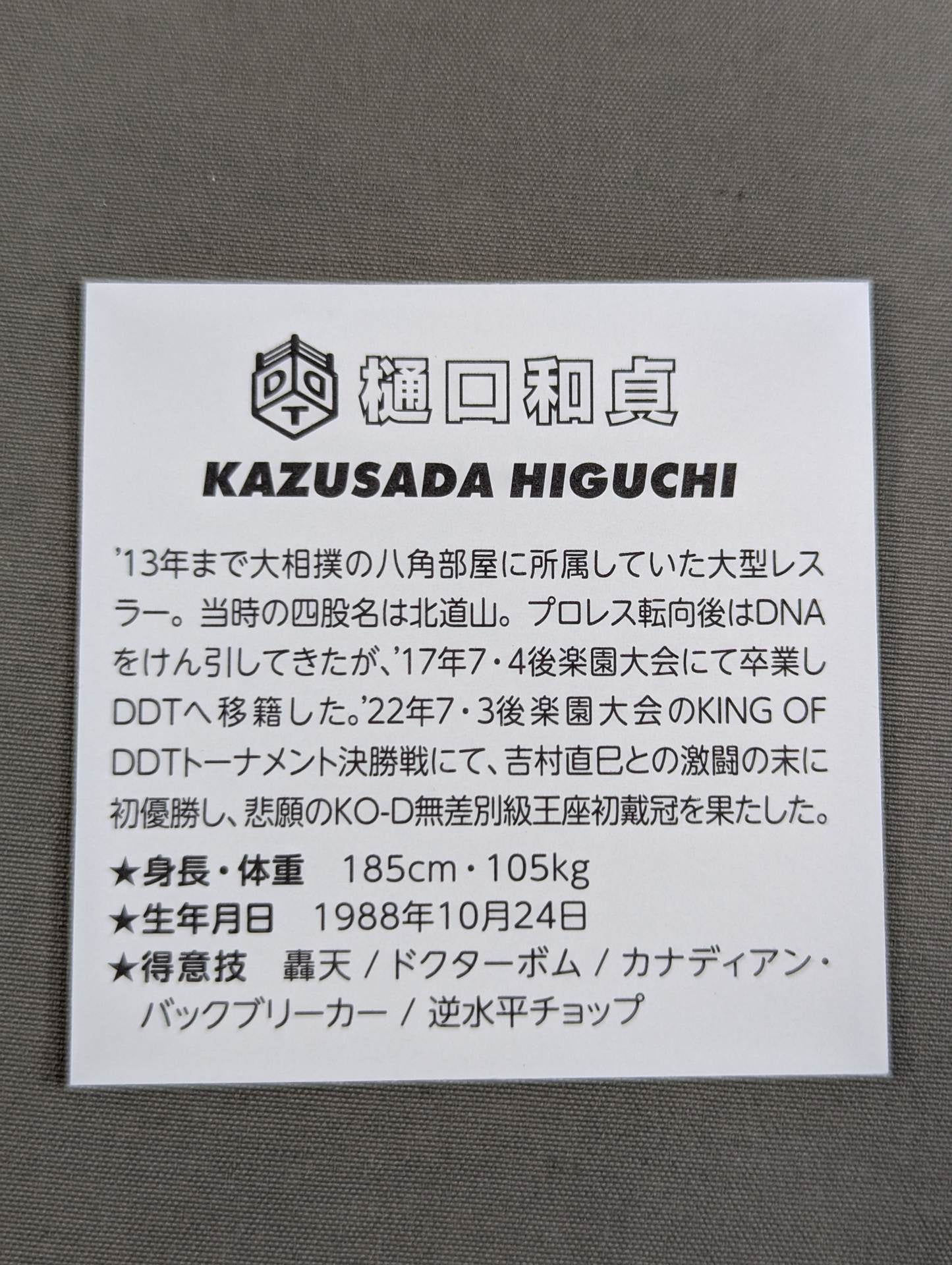 Kazusada Higuchi Illustration Sticker