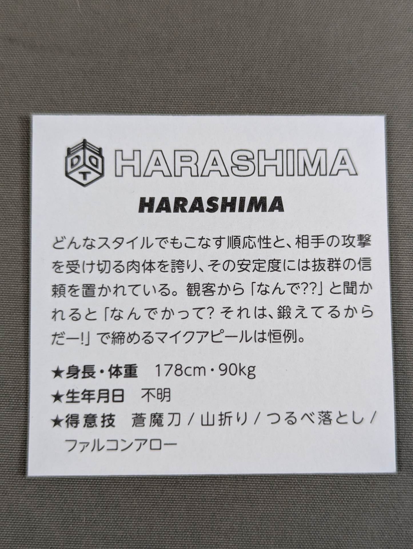 HARASHIMA Illustration Sticker