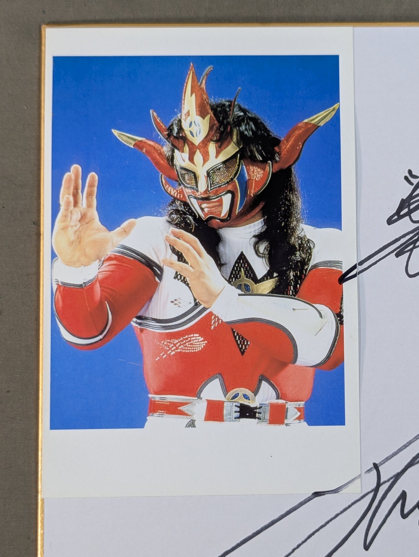 Jushin Thunder Liger (photo paste) )