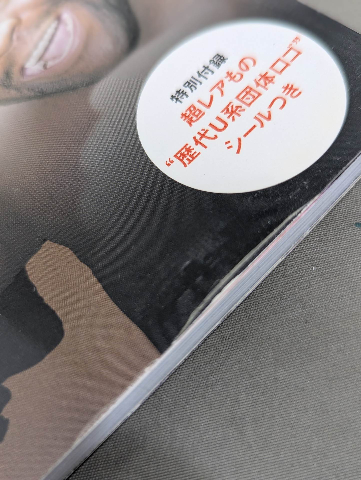 UWF→PRIDE 20 Years of Mixed Martial Arts 1984→2003