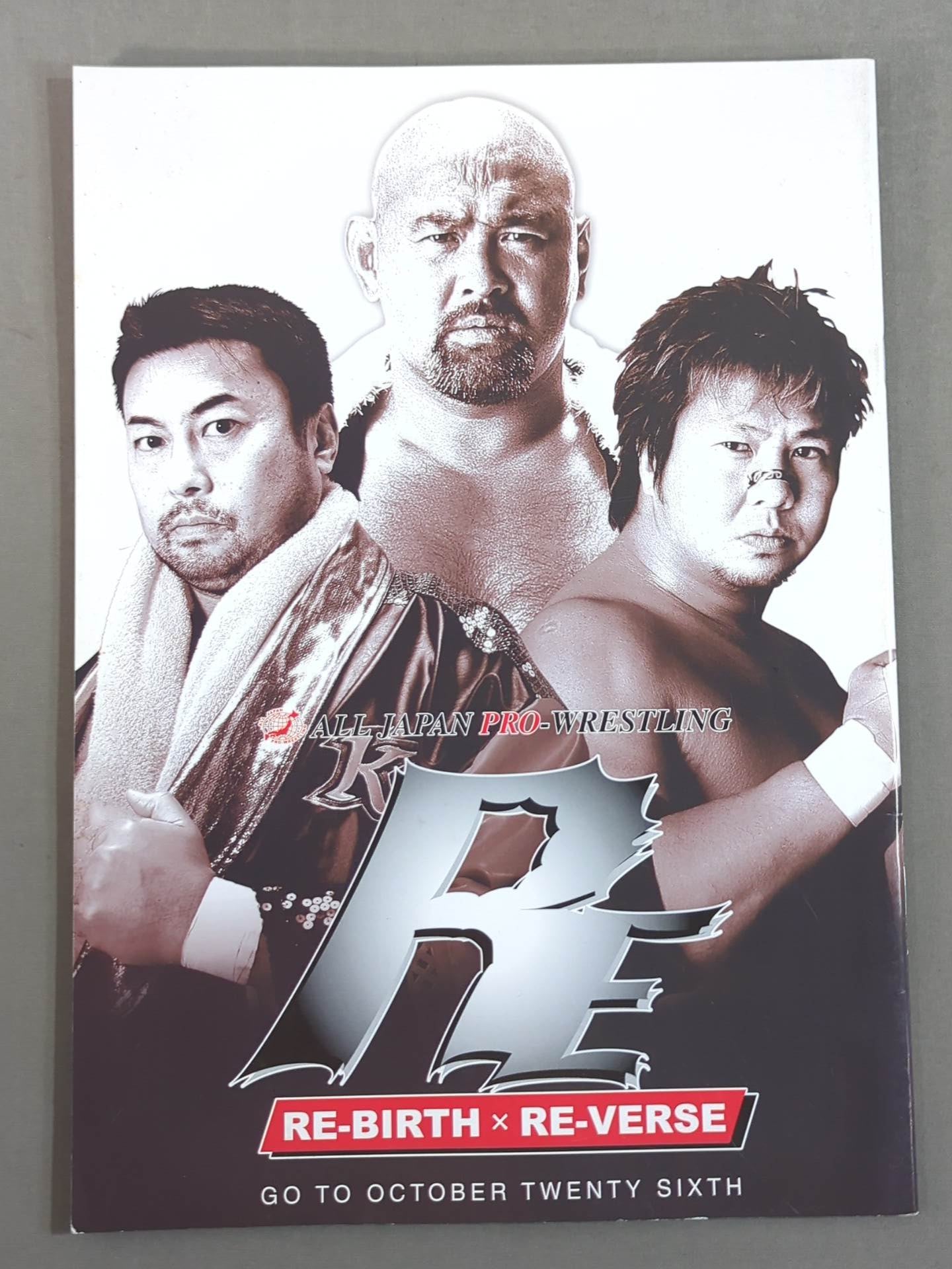 希少 レア I'VE in BUDOKAN 2009 プレス資料 武道館 I'VE in BUDOKAN