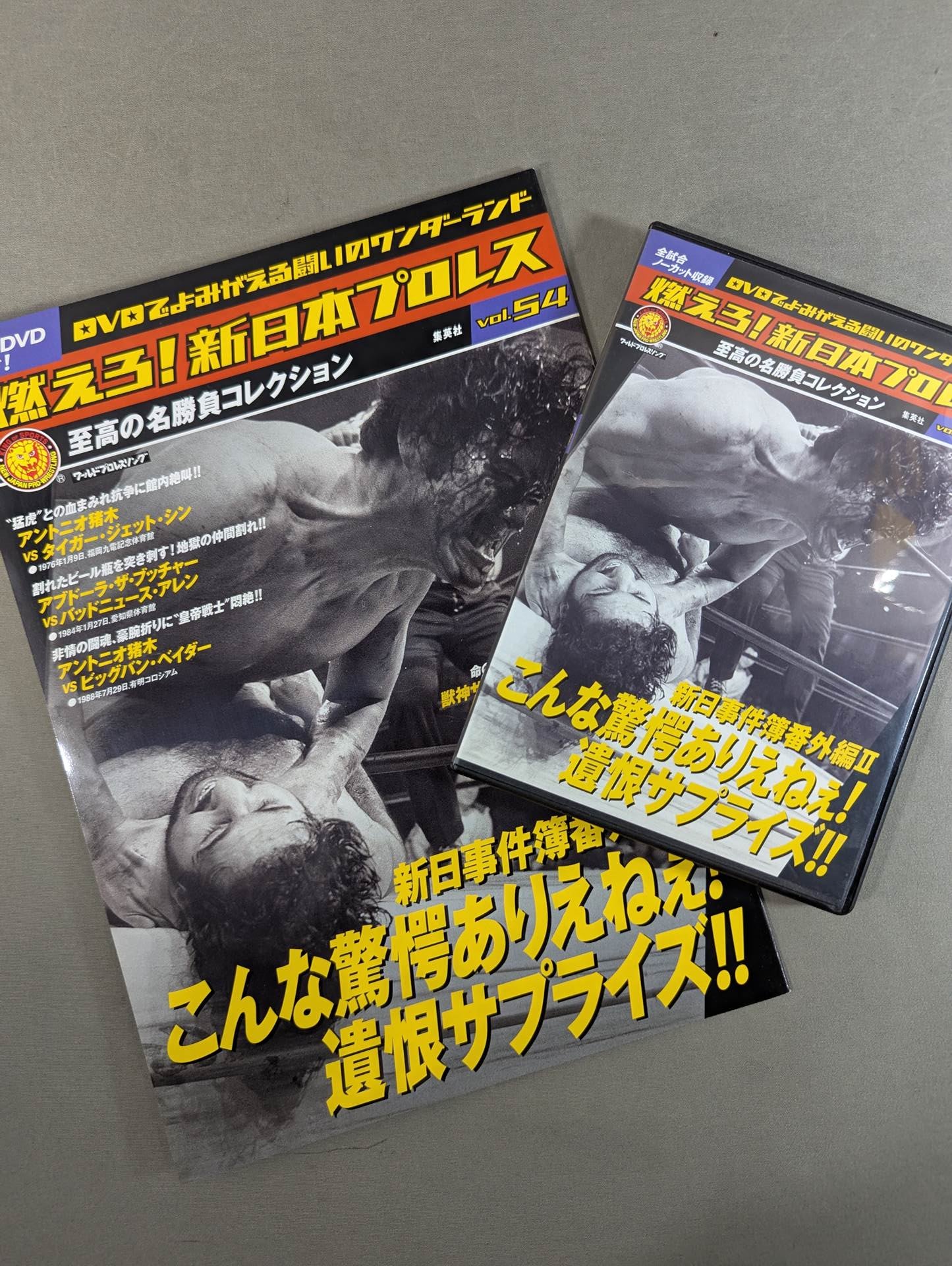 燃えろ!新日本プロレス vol.54 – 闘道館