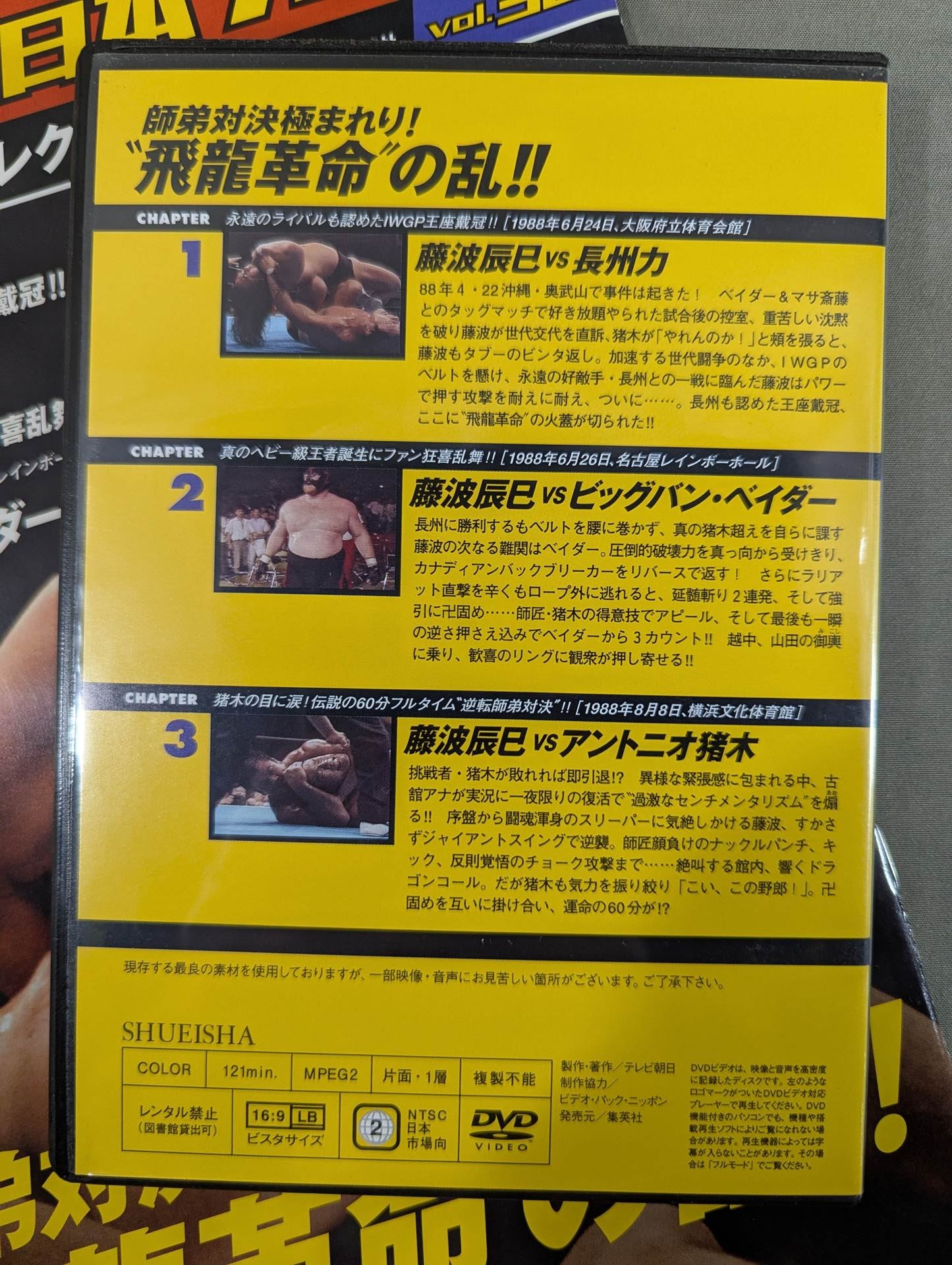 Burn! New Japan Pro Wrestling vol.36