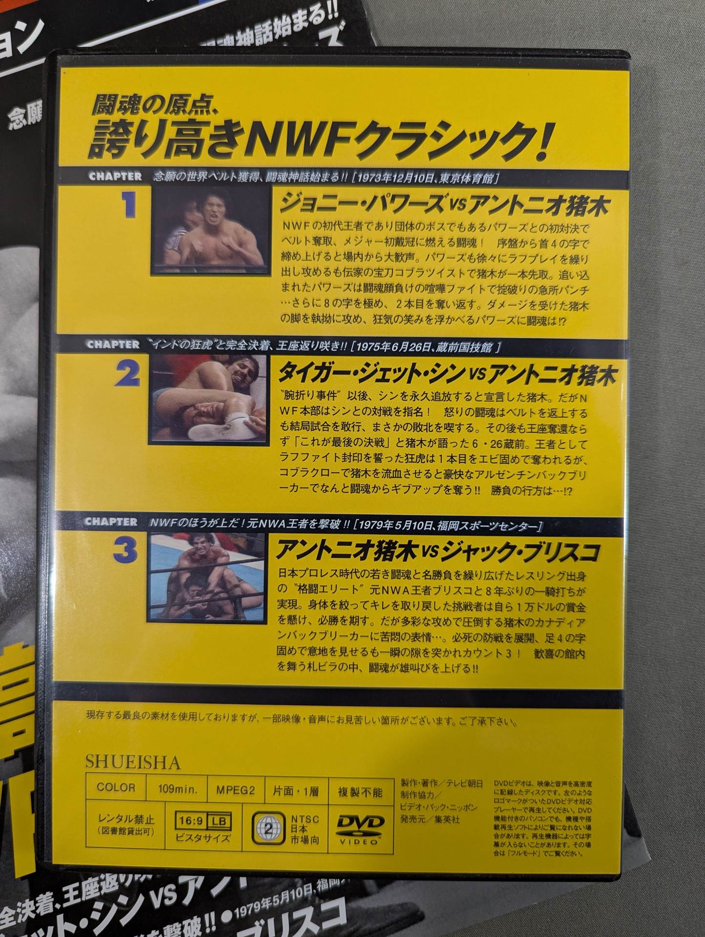 Burn! New Japan Pro Wrestling vol.31