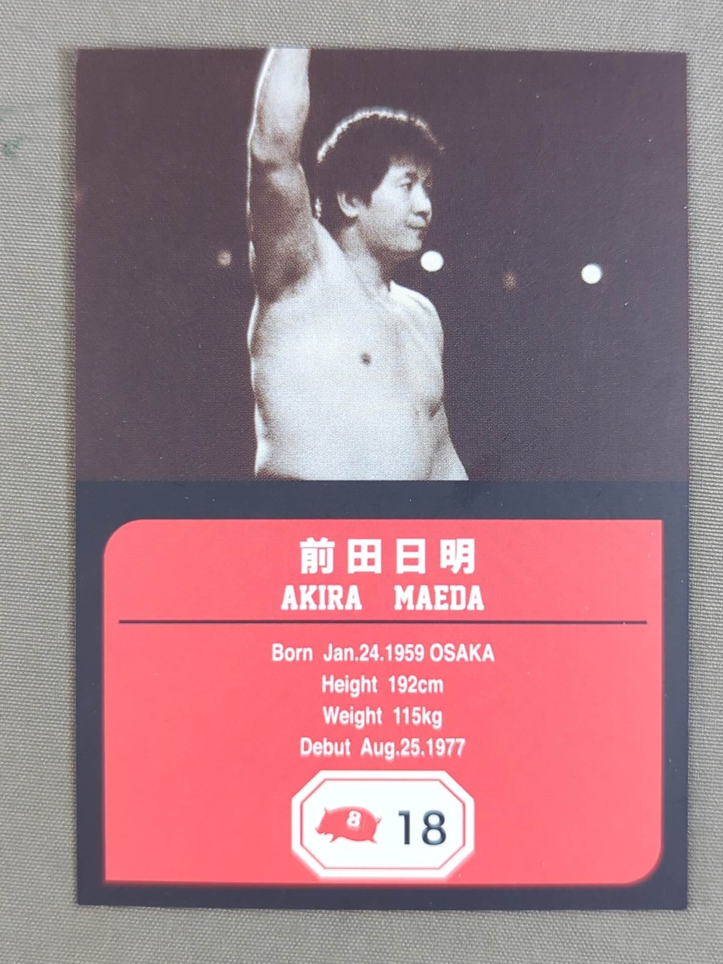 チームフルスイング製 前田日明 プロレスカード