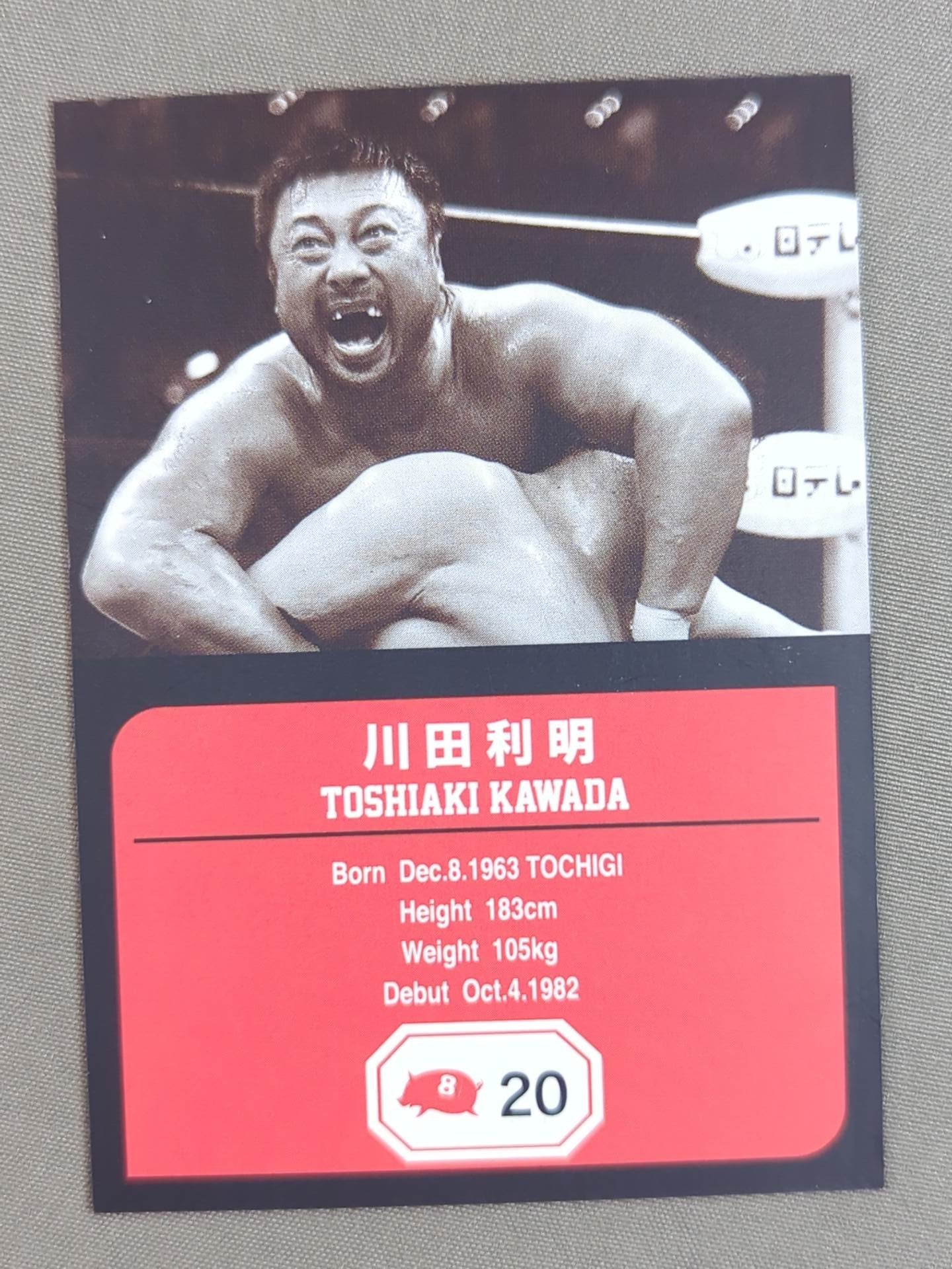 チームフルスイング製 川田利明 プロレスカード