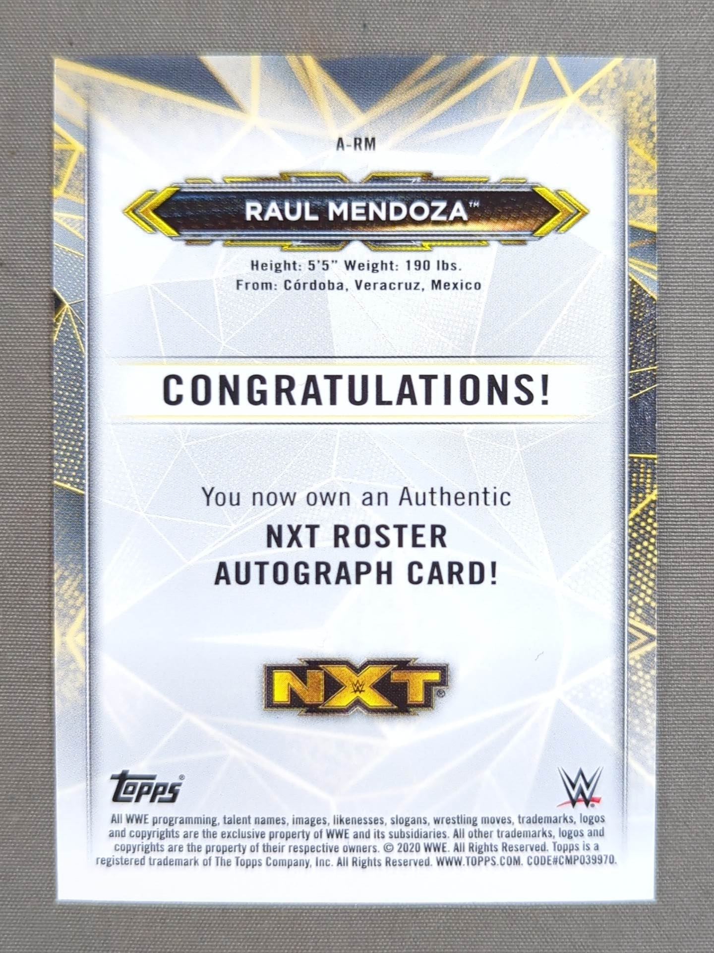 2020 TOPPS NXT ラウル・メンドーサ 公式サインカード