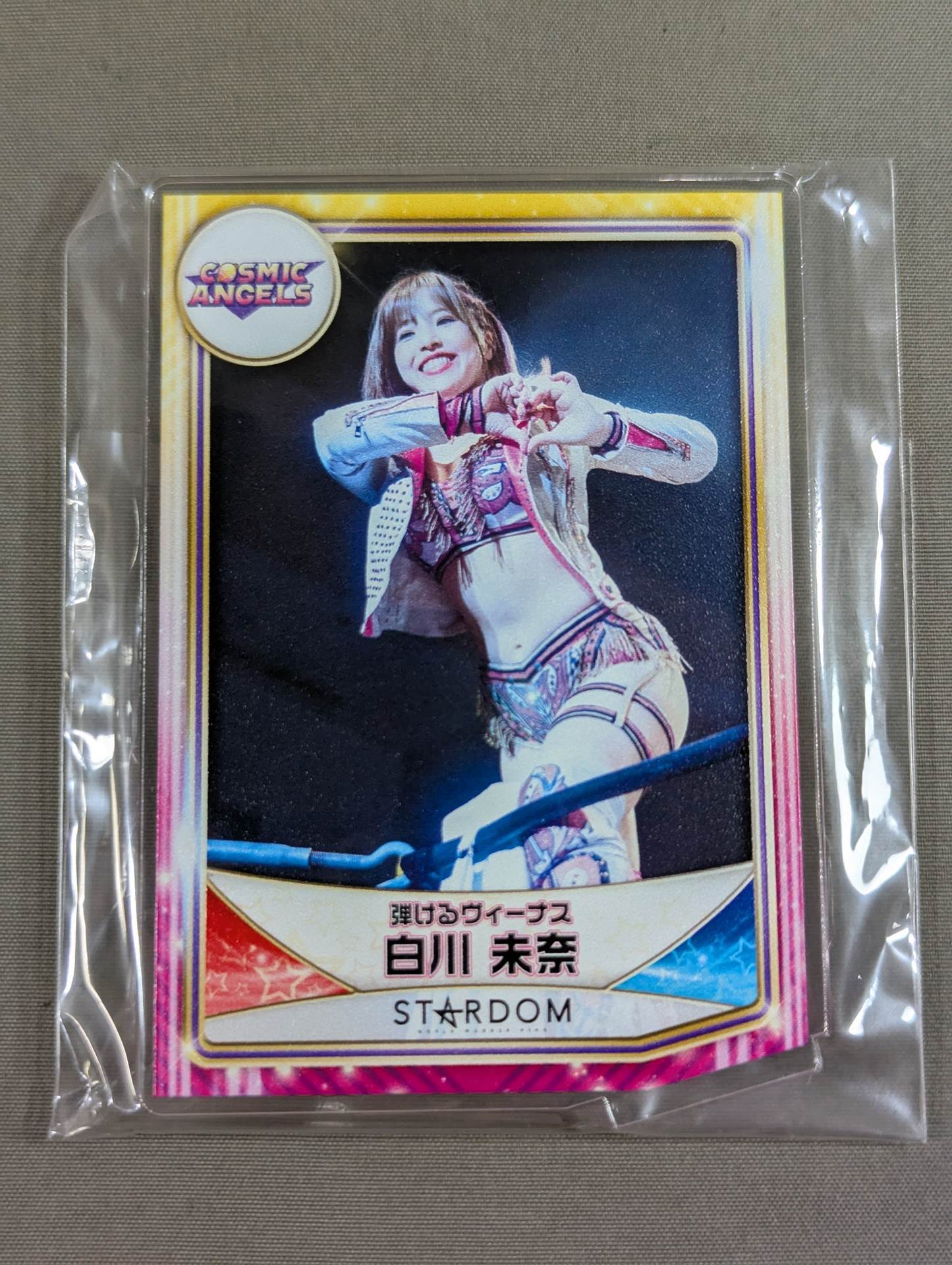 白川未奈 ランダムアクリルトレカ 2022 – 闘道館