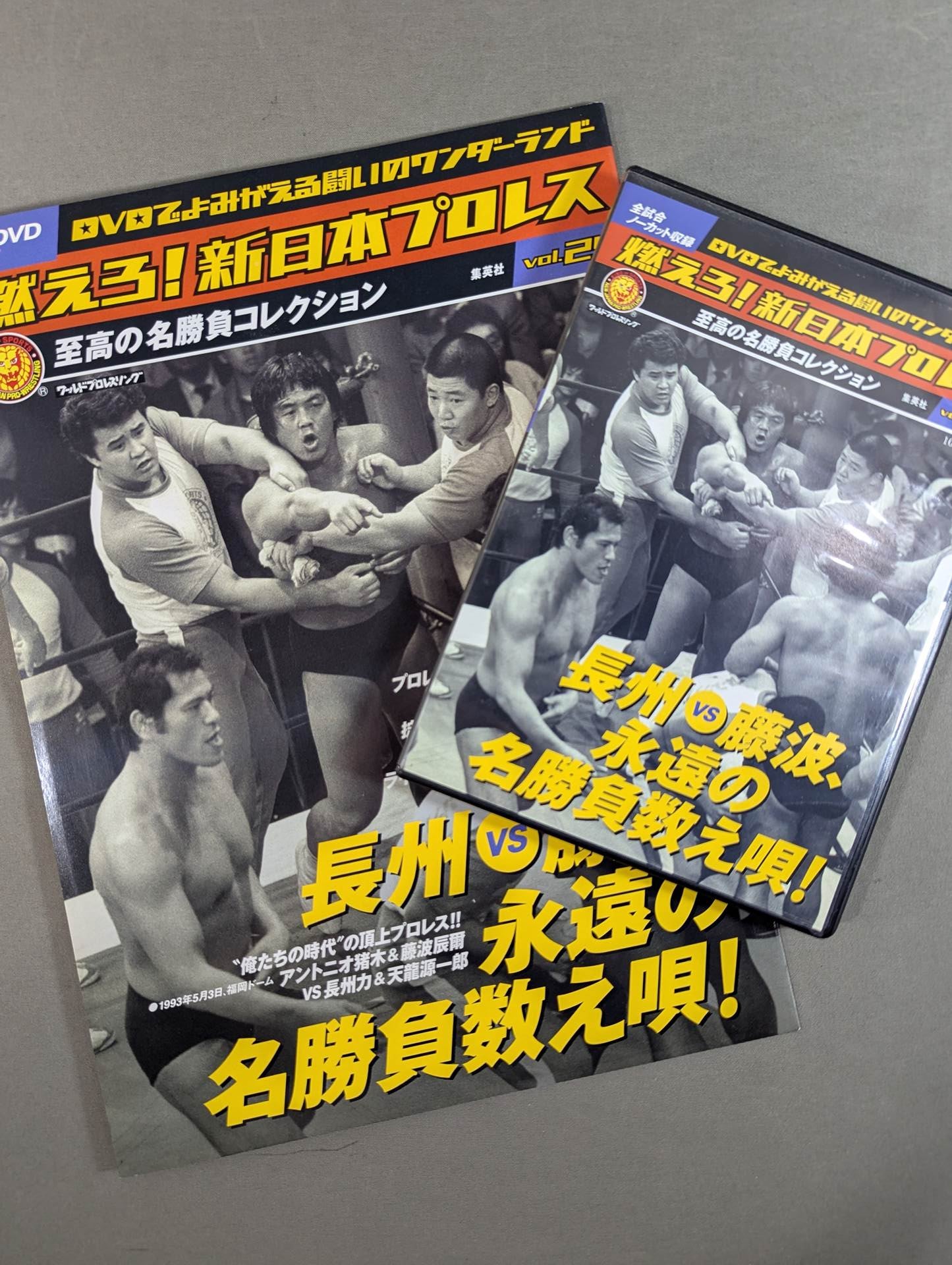 燃えろ!新日本プロレス vol.25 – 闘道館
